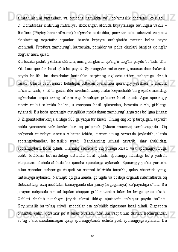 almashinishini   yaxshilash   va   ortiqcha   namlikka   yo’l   qo’ymaslik   choralari   ko’riladi.  
2.   Oomitsetlar   sinfining   mitseliysi   shoxlangan   alohida   hujayralarga   bo’lingan   vakili   –
fitoftora   (Phytopthora   infestans)   ko’pincha   kartoshka,   pomidor   kabi   sabzavot   va   poliz
ekinlarining   vegetativ   organlari   hamda   hujayra   oraliqlarida   parazit   holda   hayot
kechiradi.   Fitoftora   zamburug’i   kartoshka,   pomidor   va   poliz   ekinlari   bargida   qo’ng’ir
dog’lar   hosil   qiladi.  
Kartoshka pishib yetilishi oldidan, uning barglarida qo’ng’ir dog’lar paydo bo’ladi. Ular
Fitoftora sporalar hosil qilib ko’payadi. Sporangiylar mitseliyning maxsus shoxchalarida
paydo   bo’lib,   bu   shoxchalar   kartoshka   bargining   og’izchalaridan   tashqariga   chiqib
turadi. Ularda oson ajralib ketadigan bittadan ovalsimon sporangiy yetishadi. U namlik
ta’sirida unib, 8-16 ta gacha ikki xivchinli zoosporalar keyinchalik barg epidermasidagi
og’izchalar   orqali   uning   to’qimasiga   kiradigan   gifalarni   hosil   qiladi.   Agar   sporangiy
suvsiz   muhit   ta’sirida   bo’lsa,   u   zoospora   hosil   qilmasdan,   bevosita   o’sib,   gifalarga
aylanadi. Bu hoda sporangiy quruqlikka moslashgan zamburug’larga xos bo’lgan jinssiz
3. Zigomitsetlar kenja sinfiga 500 ga yaqin tur kiradi. Uning eng ko’p tarqalgan, saprofit
holda   yashovchi   vakillaridan   biri   oq   po’panak   (Mucor   mucedo)   zamburug’idir.   Oq
po’panak   mitseliysi   asosan   substrat   ichida,   qisman   uning   yuzasida   joylashib,   ularda
sporangiybandlari   ko’tarilib   turadi.   Bandlarning   uchlari   qavarib,   shar   shaklidagi
sporangiylarni hosil qiladi. Ularning asosida to’siq yuzaga keladi va u sporangiy ichiga
botib,   kichkina   ko’rinishdagi   ustuncha   hosil   qiladi.   Sporangiy   ichidagi   ko’p   yadroli
sitoplazma   alohida-alohida   bir   qancha   sporalarga   aylanadi.   Sporangiy   po’sti   yorilishi
bilan   sporalar   tashqariga   chiqadi   va   shamol   ta’sirida   tarqalib,   qulay   sharoitda   yangi
mitseliyga aylanadi. Namiqib qolgan nonda, go’ngda va boshqa organik substratlarda oq
Substratdagi oziq moddalar kamayganda ular jinsiy (zigogamiya) ko’payishga o’tadi. Bu
jarayon   natijasida   har   xil   tupdan   chiqqan   gifalar   uchlari   bilan   bir-biriga   qarab   o’sadi.
Uchlari   shishib   tutashgan   joyida   ularni   ikkiga   ajratuvchi   to’siqlar   paydo   bo’ladi.
Keyinchalik   bu   to’siq   eriydi,   moddalar   esa   qo’shilib   zigospora   hosil   qiladi.   Zigospora
o’simtali   qalin,   qoramtir   po’st   bilan   o’raladi.   Ma’lum   vaqt   tinim   davrini   kechirgandan
so’ng o’sib, shoxlanmagan qisqa sporangiybandi uchida yosh sporangiyga aylanadi. Bu
10 