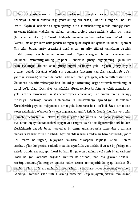 bo’ladi.   U   yerda   ularning   juftlashgan   yadrolari   bir   vaqtda   baravar   va   teng   bo’lina
boshlaydi.   Chunki   dikariondagi   yadrolarning   biri   erkak,   ikkinchisi   urg’ochi   bo’lishi
lozim.   Keyin   dikarionlar   askogen   iplariga   o’tib   shoxchalarning   o’zida   taraqqiy   etadi.
Askogen   ichidagi   yadrolar   qo’shiladi,   so’ngra   diploid   yadro   izchillik   bilan   uch   marta
(birinchisi   reduksion)   bo’linadi.   Natijada   sakkizta   gaploid   yadro   hosil   bo’ladi.   Ular
Demak,   otalangan   bitta   askogendan   askogen   iplar   orqali   bir   qancha   xaltachali   sporalar
Shu   bilan   birga,   jinsiy   organlarni   hosil   qilgan   mitseliy   gifalari   xaltachalar   atrofida
o’ralib,   jinsiy   organlarga   va   undan   hosil   bo’lgan   askogen   iplariga   mevatanasining
Xaltachali   zamburug’larning   ko’pchilik   turlarida   jinsiy   organlarning   qo’shilishi
reduksiyalangan.   Ba’zan   erkak   jinsiy   organi   bo’lmaydi   yoki   urg’ochi   jinsiy   organi
o’smay   qoladi.   Keyingi   o’sish   esa   oogamiya   (askogen   yadrolar   yaqinlashib   qo’sh
yadroga   aylanadi)   yordamida   bo’lib,   askogen   iplari   yetilgach,   uchida   xaltachalar   hosil
Xaltachasi bevosita mitseliyda hosil bo’ladigan zamburug’larga achituvchi zamburug’lar
misol   bo’la   oladi.   Dastlabki   xaltachalilar   (Protoascales)   tartibining   vakili   xamirturush
yoki   achitqi   zamburug’idir   (Saccharomyces   cerevisiae).   Ko’pincha   uning   haqiqiy
mitseliysi   bo’lmay,   tanasi   alohida-alohida   hujayralarga   ajraladigan,   kurtaklanib
Kurtaklanish   paytida, hujayrada  o’simta  yoki   kurtakcha  hosil   bo’ladi.  Bu  o’simta asta-
sekin kattalashib o’saveradi va ona hujayradan ajralib ketadi. Xuddi shunday yo’l bilan
ikkinchi,   uchinchi   va   hokazo   kurtaklar   paydo   bo’laveradi.   Natijada   yumaloq   yoki
ovalsimon hujayralardan tashkil topgan va osongina uzilib ketadigan zanjir hosil bo’ladi.
Kurtaklanish   paytida   ba’zi   hujayralar   bir-biriga   qarama-qarshi   tomondan   o’simtalar
chiqaradi va ular o’sib birlashadi. Ayni vaqtda ularning yadrolari ham qo’shiladi, yadro
uch   marta   bo’lingach,   hujayrada   sakkizta   askospora   vujudga   keladi.   Achitqi
zamburug’lari ko’pincha shakarli muxitda saprofit hayot kechiradi va uni bijg’ishga olib
keladi. Bunda, asosan, spirt hosil bo’ladi. Bu jarayon qandning etil spirti bilan karbonat
Hosil   bo’lgan   karbonat   angidrid   xamirni   ko’pchitadi,   non   esa   g’ovak   bo’ladi.  
Achitqi   zamburug’larning   bir   qancha   turlari   sanoat   tarmoqlarida   keng   qo’llaniladi.   Bu
zamburug’lar ichida eng muhimlari pivo achitqisi (Saccharomyces cerevisiae) va vino 5.
Bazidiyali   zamburug’lar   sinfi.   Ularning   mitseliysi   ko’p   hujayrali,   yaxshi   rivojlangan,
12 