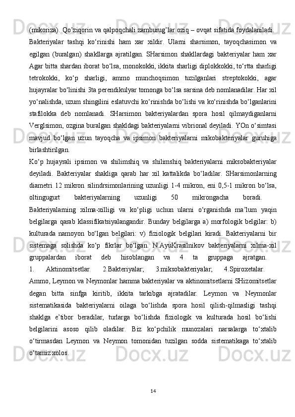 (mikoriza). Qo’ziqorin va qalpoqchali zamburug’lar oziq – ovqat sifatida foydalaniladi. 
Bakteriyalar   tashqi   ko‘rinishi   ham   xar   xildir.   Ularni   sharsimon,   tayoqchasimon   va
egilgan   (buralgan)   shakllarga   ajratilgan.   SHarsimon   shakllardagi   bakteriyalar   ham   xar
Agar bitta shardan iborat bo‘lsa, monokokki, ikkita sharligi diplokkokki, to‘rtta sharligi
tetrokokki,   ko‘p   sharligi,   ammo   munchoqsimon   tuzilganlari   streptokokki,   agar
hujayralar bo‘linishi 3ta perendikulyar tomonga bo‘lsa sarsina deb nomlanadilar. Har xil
yo‘nalishda, uzum shingilini eslatuvchi ko‘rinishda bo‘lishi va ko‘rinishda bo‘lganlarini
stafilokka   deb   nomlanadi.   SHarsimon   bakteriyalardan   spora   hosil   qilmaydiganlarni
Verglsimon, ozgina buralgan shakldagi bakteriyalarni vibrional deyiladi. YOn o‘simtasi
mavjud   bo‘lgan   uzun   tayoqcha   va   ipsimon   bakteriyalarni   mikobakteriyalar   guruhiga
birlashtirilgan.  
Ko‘p   hujayrali   ipsimon   va   shilimshiq   va   shilimshiq   bakteriyalarni   miksobakteriyalar
deyiladi.   Bakteriyalar   shakliga   qarab   har   xil   kattalikda   bo‘ladilar.   SHarsimonlarning
diametri   1 2   mikron   silindrsimonlarining   uzunligi   1-4   mikron,   eni   0,5-1   mikron   bo‘lsa,
oltingugurt   bakteriyalarning   uzunligi   50   mikrongacha   boradi.  
Bakteriyalarning   xilma-xilligi   va   ko‘pligi   uchun   ularni   o‘rganishda   ma’lum   yaqin
belgilarga   qarab   klassifikatsiyalangandir.   Bunday   belgilarga   a)   morfologik   belgilar:   b)
kulturada   namoyon   bo‘lgan   belgilari:   v)   fiziologik   belgilari   kiradi.   Bakteriyalarni   bir
sistemaga   solishda   ko‘p   fikrlar   bo‘lgan.   N.AyuKrasilnikov   bakteriyalarni   xilma-xil
gruppalardan   iborat   deb   hisoblangan   va   4   ta   gruppaga   ajratgan.  
1.   Aktinomitsetlar.   2.Bakteriyalar;   3.miksobakteriyalar;   4.Spiroxetalar.  
Ammo, Leymon va Neymonlar hamma bakteriyalar va aktinomitsetlarni SHizomitsetlar
degan   bitta   sinfga   kiritib,   ikkita   tarkibga   ajratadilar.   Leymon   va   Neymonlar
sistematikasida   bakteriyalarni   oilaga   bo‘lishda   spora   hosil   qilish-qilmasligi   tashqi
shaklga   e’tibor   beradilar,   turlarga   bo‘lishda   fiziologik   va   kulturada   hosil   bo‘lishi
belgilarini   asoso   qilib   oladilar.   Biz   ko‘pchilik   munozalari   narsalarga   to‘xtalib
o‘tirmasdan   Leymon   va   Neymon   tomonidan   tuzilgan   sodda   sistematikaga   to‘xtalib
o‘tamiz   xolos.  
14 