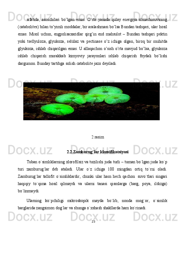 sifatida,   asoschilari   bo’lgan   emas.   O’rta   yanada   qulay   energiya   almashinuvining
(catabolites) bilan to’yimli moddalar, bir aralashmasi bo’lsa Bundan tashqari, ular   hosil
emas.   Misol   uchun,   engpolisaxaridlar   qirg’in   end   mahsulot   –   Bundan   tashqari   pektin
yoki   tsellyuloza,   glyukoza,   selülaz   va   pectinase   o’z   ichiga   olgan,   biroq   bir   muhitda
glyukoza,   ishlab   chiqarilgan   emas.   U   allaqachon   o’sish   o’rta   mavjud   bo’lsa, glyukoza
ishlab   chiqarish   murakkab   kimyoviy   jarayonlari   ishlab   chiqarish   foydali   bo’lishi
dargumon.   Bunday   tartibga   solish   catabolite   jazo   deyiladi.
2.rasim
2.2.Zamburug’lar   klassifikatsiyasi
Tuban o`simliklarning xlorofilsiz va tuzilishi juda turli – tuman bo`lgan juda   ko`p
turi   zamburug`lar   deb   ataladi.   Ular   o`z   ichiga   100   mingdan   ortiq   to`rni   oladi.
Zamburug`lar   tallofit   o`simliklardir,   chunki   ular   ham   hech   qachon   suvo`tlari   singari
haqiqiy   to`qima   hosil   qilmaydi   va   ularni   tanasi   qismlarga   (barg,   poya,   ildizga)
bo`linmaydi.
Ularning   ko`pchiligi   mikroskopik   mayda   bo`lib,   nonda   mog`or,   o`simlik
barglarida   zangsimon   dog`lar   va   shunga o`xshash   shakllarda   ham   ko`rinadi.
23 