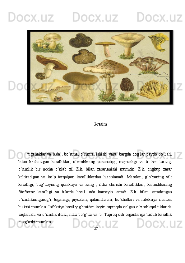 3-rasim
tuganaklar   va   b.da),   bo rtma,ʻ   o simta,	ʻ   ishish,   yara,   bargda   dog lar	ʻ   paydo   bo lishi	ʻ
bilan   kechadigan   kasalliklar,   o simlikning   pakanaligi,   majruxligi   va   b.   Bir	
ʻ   turdagi
o simlik   bir   necha   o nlab   xil   Z.k.   bilan   zararlanishi   mumkin.   Z.k.   engkup	
ʻ ʻ   zarar
keltiradigan   va   ko p	
ʻ   tarqalgan   kasalliklardan   hisoblanadi.   Masalan,   g o zaning   vilt	ʻ ʻ
kasalligi,   bug doyning   qorakuya   va   zang   ,   ildiz   chirishi   kasalliklari,	
ʻ   kartoshkaning
fitoftoroz   kasalligi   va   b.larda   hosil   juda   kamayib   ketadi.   Z.k.   bilan   zararlangan
o simlikningurug i,   tuganagi,   piyozlari,   qalamchalari,   ko chatlari   va	
ʻ ʻ ʻ   infeksiya   manbai
bulishi   mumkin.   Infeksiya   hosil   yig imidan	
ʻ   keyin   tuproqda   qolgan   o simlikqoldiklarida	ʻ
saqlanishi   va   o simlik	
ʻ   ildizi,   ildiz   bo g izi	ʻ ʻ   va   b.   Tuproq   osti   organlariga   tushib   kasallik
quzg ashi	
ʻ   mumkin.  
27 