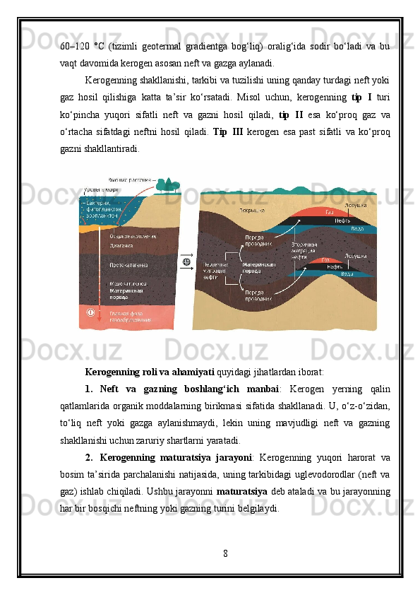 60–120   °C   (tizimli   geotermal   gradientga   bog‘liq)   oralig‘ida   sodir   bo‘ladi   va   bu
vaqt davomida kerogen asosan neft va gazga aylanadi.
Kerogenning shakllanishi, tarkibi va tuzilishi uning qanday turdagi neft yoki
gaz   hosil   qilishiga   katta   ta’sir   ko‘rsatadi.   Misol   uchun,   kerogenning   tip   I   turi
ko‘pincha   yuqori   sifatli   neft   va   gazni   hosil   qiladi,   tip   II   esa   ko‘proq   gaz   va
o‘rtacha   sifatdagi   neftni   hosil   qiladi.   Tip   III   kerogen   esa   past   sifatli   va   ko‘proq
gazni shakllantiradi.
Kerogenning roli va ahamiyati  quyidagi jihatlardan iborat:
1. Neft   va   gazning   boshlang‘ich   manbai :   Kerogen   yerning   qalin
qatlamlarida  organik moddalarning birikmasi  sifatida shakllanadi.  U, o‘z-o‘zidan,
to‘liq   neft   yoki   gazga   aylanishmaydi,   lekin   uning   mavjudligi   neft   va   gazning
shakllanishi uchun zaruriy shartlarni yaratadi.
2. Kerogenning   maturatsiya   jarayoni :   Kerogenning   yuqori   harorat   va
bosim ta’sirida parchalanishi natijasida, uning tarkibidagi uglevodorodlar (neft va
gaz) ishlab chiqiladi. Ushbu jarayonni   maturatsiya   deb ataladi va bu jarayonning
har bir bosqichi neftning yoki gazning turini belgilaydi.
8 