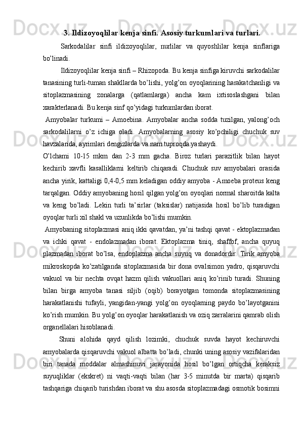 3. Ildizoyoqlilar kenja sinfi. Asosiy turkumlari va turlari.
Sarkodalilar   sinfi   ildizoyoqlilar,   nurlilar   va   quyoshlilar   kenja   sinflariga
bo’linadi. 
Ildizoyoqlilar kenja sinfi – Rhizopoda. Bu kenja sinfiga kiruvchi sarkodalilar
tanasining turli-tuman shakllarda bo’lishi, yolg’on oyoqlarining harakatchanligi va
sitoplazmasining   zonalarga   (qatlamlarga)   ancha   kam   ixtisoslashgani   bilan
xarakterlanadi. Bu kenja sinf qo’yidagi turkumlardan iborat. 
  Amyobalar   turkumi   –   Amoebina.   Amyobalar   ancha   sodda   tuzilgan,   yalong’och
sarkodalilarni   o’z   ichiga   oladi.   Amyobalarning   asosiy   ko’pchiligi   chuchuk   suv
havzalarida, ayrimlari dengizlarda va nam tuproqda yashaydi. 
O’lchami   10-15   mkm   dan   2-3   mm   gacha.   Biroz   turlari   parazitlik   bilan   hayot
kechirib   xavfli   kasalliklarni   keltirib   chiqaradi.   Chuchuk   suv   amyobalari   orasida
ancha yirik, kattaligi 0,4-0,5 mm keladigan oddiy amyoba - Amoeba proteus keng
tarqalgan. Oddiy amyobaning hosil qilgan yolg’on oyoqlari normal sharoitda kalta
va   keng   bo’ladi.   Lekin   turli   ta’sirlar   (taksislar)   natijasida   hosil   bo’lib   turadigan
oyoqlar turli xil shakl va uzunlikda bo’lishi mumkin. 
  Amyobaning sitoplazmasi aniq ikki qavatdan, ya’ni tashqi qavat - ektoplazmadan
va   ichki   qavat   -   endolazmadan   iborat.   Ektoplazma   tiniq,   shaffof,   ancha   quyuq
plazmadan   iborat   bo’lsa,   endoplazma   ancha   suyuq   va   donadordir.   Tirik   amyoba
mikroskopda  ko’zatilganda  sitoplazmasida  bir  dona ovalsimon yadro, qisqaruvchi
vakuol   va   bir   nechta   ovqat   hazm   qilish   vakuollari   aniq   ko’rinib   turadi.   Shuning
bilan   birga   amyoba   tanasi   siljib   (oqib)   borayotgan   tomonda   sitoplazmasining
harakatlanishi   tufayli,   yangidan-yangi   yolg’on   oyoqlarning   paydo   bo’layotganini
ko’rish mumkin. Bu yolg’on oyoqlar harakatlanish va oziq zarralarini qamrab olish
organellalari hisoblanadi. 
  Shuni   alohida   qayd   qilish   lozimki,   chuchuk   suvda   hayot   kechiruvchi
amyobalarda qisqaruvchi vakuol albatta bo’ladi, chunki uning asosiy vazifalaridan
biri   tanada   moddalar   almashinuvi   jarayonida   hosil   bo’lgan   ortiqcha   keraksiz
suyuqliklar   (ekskret)   ni   vaqti-vaqti   bilan   (har   3-5   minutda   bir   marta)   qisqarib
tashqariga chiqarib turishdan iborat va shu asosda sitoplazmadagi osmotik bosimni 