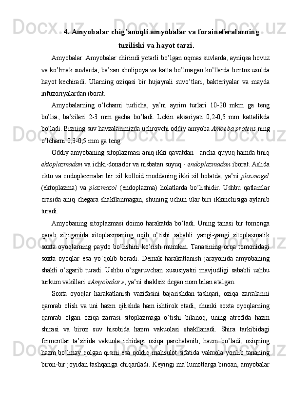 4.   Amyobalar chig’anoqli amyobalar va foraineferalarning
tuzilishi va hayot tarzi.
Amyobalar. Amyobalar chirindi yetarli bo’lgan oqmas suvlarda, ayniqsa hovuz
va ko’lmak suvlarda, ba’zan sholipoya va katta bo’lmagan ko’llarda bentos usulda
hayot   kechiradi.   Ularning   oziqasi   bir   hujayrali   suvo’tlari,   bakteriyalar   va   mayda
infuzoriyalardan iborat. 
Amyobalarning   o’lchami   turlicha,   ya’ni   ayrim   turlari   10-20   mkm   ga   teng
bo’lsa,   ba’zilari   2-3   mm   gacha   bo’ladi.   Lekin   aksariyati   0,2-0,5   mm   kattalikda
bo’ladi. Bizning suv havzalarimizda uchrovchi oddiy amyoba  Amoeba proteus  ning
o’lchami 0,3-0,5 mm ga teng. 
Oddiy amyobaning sitoplazmasi aniq ikki qavatdan - ancha quyuq hamda tiniq
ektoplazmadan  va ichki-donador va nisbatan suyuq -  endoplazmadan  iborat. Aslida
ekto va endoplazmalar bir xil kolloid moddaning ikki xil holatda, ya’ni   plazmogel
(ektoplazma)   va   plazmazol   (endoplazma)   holatlarda   bo’lishidir.   Ushbu   qatlamlar
orasida  aniq chegara shakllanmagan,  shuning  uchun ular  biri  ikkinchisiga  aylanib
turadi. 
Amyobaning sitoplazmasi  doimo harakatda bo’ladi. Uning tanasi  bir  tomonga
qarab   siljiganida   sitoplazmaning   oqib   o’tishi   sababli   yangi-yangi   sitoplazmatik
soxta   oyoqlarning   paydo   bo’lishini   ko’rish   mumkin.   Tanasining   orqa   tomonidagi
soxta   oyoqlar   esa   yo’qolib   boradi.   Demak   harakatlanish   jarayonida   amyobaning
shakli   o’zgarib   turadi.   Ushbu   o’zgaruvchan   xususiyatni   mavjudligi   sababli   ushbu
turkum vakillari  «Amyobalar» , ya’ni shaklsiz degan nom bilan atalgan. 
Soxta   oyoqlar   harakatlanish   vazifasini   bajarishdan   tashqari,   oziqa   zarralarini
qamrab   olish   va   uni   hazm   qilishda   ham   ishtirok   etadi,   chunki   soxta   oyoqlarning
qamrab   olgan   oziqa   zarrasi   sitoplazmaga   o’tishi   bilanoq,   uning   atrofida   hazm
shirasi   va   biroz   suv   hisobida   hazm   vakuolasi   shakllanadi.   Shira   tarkibidagi
fermentlar   ta’sirida   vakuola   ichidagi   oziqa   parchalanib,   hazm   bo’ladi,   oziqning
hazm bo’lmay qolgan qismi esa qoldiq mahsulot sifatida vakuola yorilib tananing
biron-bir joyidan tashqariga chiqariladi. Keyingi ma’lumotlarga binoan, amyobalar 