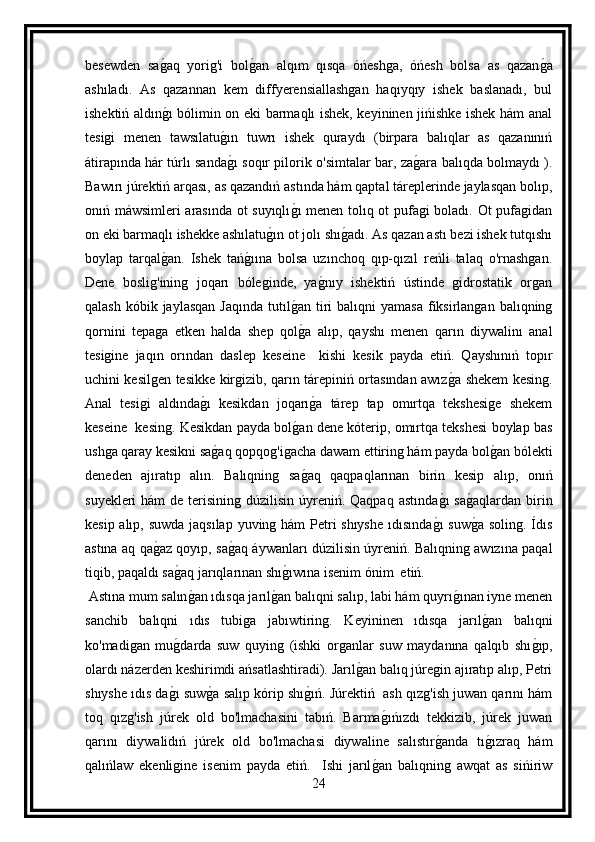 besewden   sag aq   yorig'i   bol	g an   alqım   qısqa   óńeshga,   óńesh   bolsa   as   qazan	g a
ashıladı.   As   qazannan   kem   diffyerensiallashgan   haqıyqıy   ishek   baslanadı,   bul
ishektiń aldın	
g ı bólimin on eki barmaqlı ishek, keyininen jińishke ishek hám anal
tesigi   menen   tawsılatu	
g ın   tuwrı   ishek   quraydı   (birpara   balıqlar   as   qazanınıń
átirapında hár túrlı sanda
g ı soqır pilorik o'simtalar bar, za	g ara balıqda bolmaydı ).
Bawırı júrektiń arqası, as qazandıń astında hám qaptal táreplerinde jaylasqan bolıp,
onıń máwsimleri arasında ot suyıqlı	
g ı menen tolıq ot pufagi boladı. Ot pufagidan
on eki barmaqlı ishekke ashılatu	
g ın ot jolı shı	g adı. As qazan astı bezi ishek tutqıshı
boylap   tarqal	
g an.   Ishek   tań	g ıına   bolsa   uzınchoq   qıp-qızıl   reńli   talaq   o'rnashgan.
Dene   boslig'ining   joqarı   bóleginde,   ya	
g nıy   ishektiń   ústinde   gidrostatik   organ
qalash  kóbik jaylasqan   Jaqında  tutıl	
g an tiri  balıqni   yamasa  fiksirlangan  balıqning
qornini   tepaga   etken   halda   shep   qol
g a   alıp,   qayshı   menen   qarın   diywalinı   anal
tesigine   jaqın   orından   daslep   keseine     kishi   kesik   payda   etiń.   Qayshınıń   topır
uchini kesilgen tesikke kirgizib, qarın tárepiniń ortasından awız	
g a shekem kesing.
Anal   tesigi   aldında	
g ı   kesikdan   joqarı	g a   tárep   tap   omırtqa   tekshesige   shekem
keseine  kesing. Kesikdan payda bol	
g an dene kóterip, omırtqa tekshesi boylap bas
ushga qaray kesikni sa	
g aq qopqog'igacha dawam ettiring hám payda bol	g an bólekti
deneden   ajıratıp   alın.   Balıqning   sa	
g aq   qaqpaqlarınan   birin   kesip   alıp,   onıń
suyekleri  hám  de terisining dúzilisin  úyreniń. Qaqpaq  astında	
g ı  sa	g aqlardan  birin
kesip alıp, suwda  jaqsılap yuving hám Petri  shıyshe  ıdısında	
g ı  suw	g a soling. Ídıs
astına aq qa	
g az qoyıp, sa	g aq áywanları dúzilisin úyreniń. Balıqning awızına paqal
tiqib, paqaldı sa	
g aq jarıqlarınan shı	g ıwına isenim ónim  etiń.
 Astına mum salın	
g an ıdısqa jarıl	g an balıqni salıp, labi hám quyrı	g ınan iyne menen
sanchib   balıqni   ıdıs   tubiga   jabıwtiring.   Keyininen   ıdısqa   jarıl	
g an   balıqni
ko'madigan   mu	
g darda   suw   quying   (ishki   organlar   suw   maydanına   qalqıb   shı	g ıp,
olardı názerden keshirimdi ańsatlashtiradi). Jarıl	
g an balıq júregin ajıratıp alıp, Petri
shıyshe ıdıs da	
g ı suw	g a salıp kórip shı	g ıń. Júrektiń  ash qızg'ish juwan qarını hám
toq   qızg'ish   júrek   old   bo'lmachasini   tabıń.   Barma	
g ıńızdı   tekkizib,   júrek   juwan
qarını   diywalidıń   júrek   old   bo'lmachasi   diywaline   salıstır	
g anda   tı	g ızraq   hám
qalıńlaw   ekenligine   isenim   payda   etiń.     Ishi   jarıl	
g an   balıqning   awqat   as   sińiriw
24 