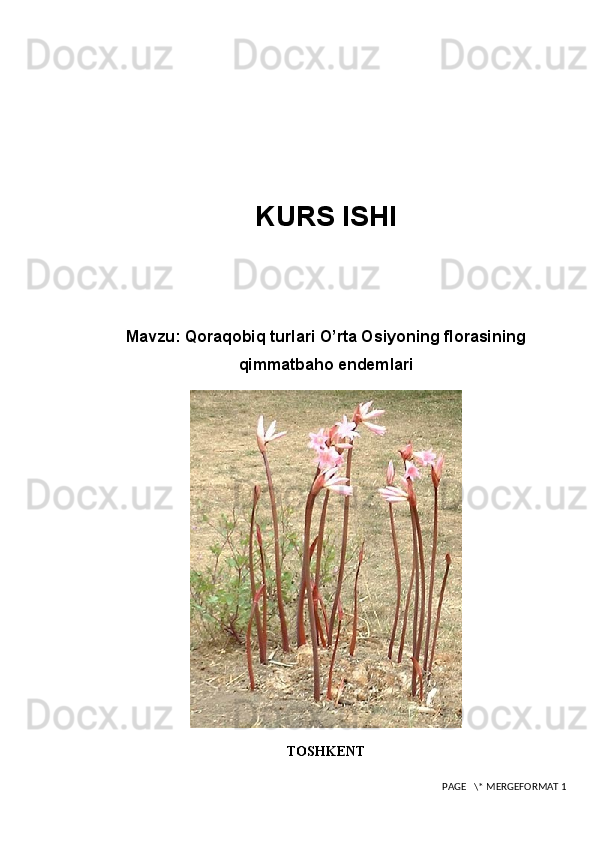 KURS ISHI
Mavzu:  Qoraqobiq turlari O’rta Osiyoning florasining
qimmatbaho endemlari
TOSHKENT
 PAGE   \* MERGEFORMAT 1