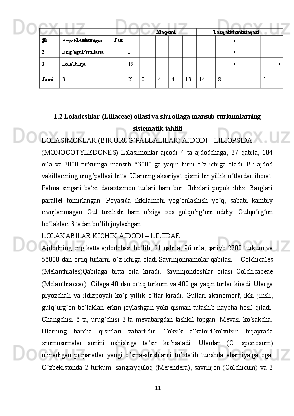 № Turkum Tur Maqomi Tarqalishmintaqasi
1 BoychechakGagea 1 +
2 Isirg’agulFritillaria 1 +
3 LolaTulipa 19 + + + +
Jami 3 21 0 4 4 13 14 8 1
1.2 Loladoshlar (Liliaceae) oilasi va shu oilaga mansub turkumlarning
sistematik tahlili
LOLASIMONLAR (BIR URUG PALLALILAR) AJDODI – LILIOPSIDA ʼ
(MONOCOTYLEDONES)   Lolasimonlar   ajdodi   4   ta   ajdodchaga,   37   qabila,   104
oila   va   3000   turkumga   mansub   63000   ga   yaqin   turni   o z   ichiga   oladi.   Bu   ajdod	
ʼ
vakillarining urug pallasi bitta. Ularning aksariyat qismi bir yillik o tlardan iborat.	
ʼ ʼ
Palma   singari   ba‘zi   daraxtsimon   turlari   ham   bor.   Ildizlari   popuk   ildiz.   Barglari
parallel   tomirlangan.   Poyasida   ikkilamchi   yog onlashish   yo q,   sababi   kambiy	
ʻ ʼ
rivojlanmagan.   Gul   tuzilishi   ham   o ziga   xos   gulqo rg oni   oddiy.   Gulqo rg on	
ʼ ʼ ʻ ʼ ʻ
bo laklari 3 tadan bo lib joylashgan.	
ʼ ʼ
LOLAKABILAR KICHIK AJDODI – LILIIDAE
Ajdodning eng katta ajdodchasi bo lib, 21 qabila, 96 oila, qariyb 2700 turkum va	
ʼ
56000  dan  ortiq  turlarni  o z  ichiga  oladi.Savrinjonnamolar   qabilasi  –  Colchicales	
ʼ
(Melanthiales)Qabilaga   bitta   oila   kiradi.   Savrinjondoshlar   oilasi–Colchicaceae
(Melanthiaceae). Oilaga 40 dan ortiq turkum va 400 ga yaqin turlar kiradi. Ularga
piyozchali   va   ildizpoyali   ko p   yillik   o tlar   kiradi.   Gullari   aktinomorf,   ikki   jinsli,	
ʼ ʼ
gulq‘urg on  bo laklari   erkin  joylashgan  yoki   qisman  tutashib   naycha  hosil   qiladi.	
ʼ ʼ
Changchisi   6   ta,   urug chisi   3   ta   mevabargdan   tashkil   topgan.   Mevasi   ko sakcha.	
ʼ ʼ
Ularning   barcha   qismlari   zaharlidir.   Toksik   alkaloid-kolxitsin   hujayrada
xromosomalar   sonini   oshishiga   ta‘sir   ko rsatadi.   Ulardan   (C.   speciosum)	
ʼ
olinadigan   preparatlar   yangi   o sma-shishlarni   to xtatib   turishda   ahamiyatga   ega.	
ʼ ʼ
O zbekistonda   2   turkum:   sangrayquloq   (Merendera),   savrinjon   (Colchicum)   va   3	
ʼ
11 