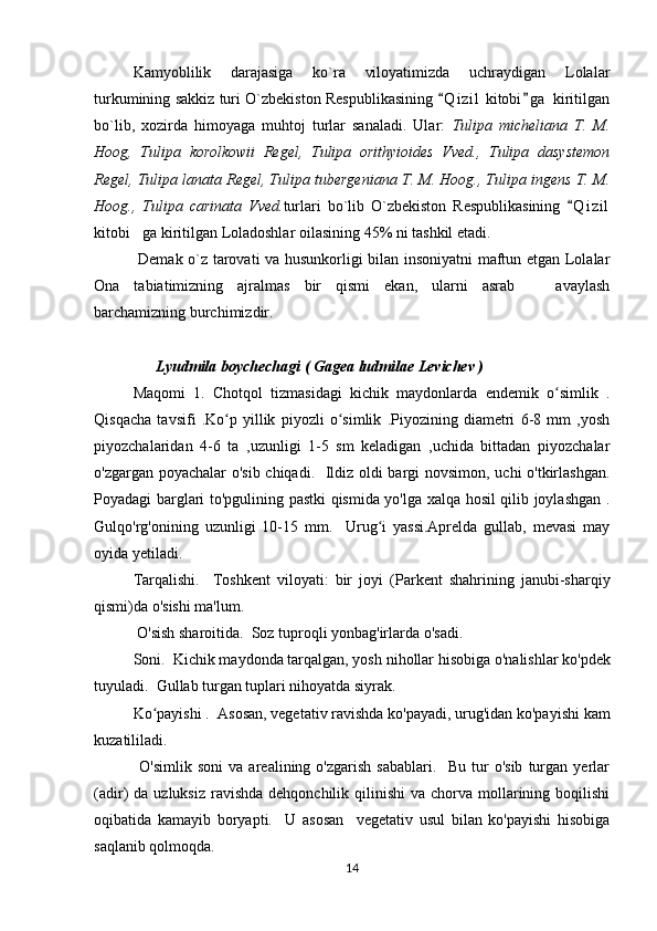 Kamyoblilik   darajasiga   ko`ra   viloyatimizda   uchraydigan   Lolalar
turkumining sakkiz turi O`zbekiston Respublikasining  Q i zil  kitobi g a  kiritilgan“ ”
bo`lib,   xozirda   himoyaga   muhtoj   turlar   sanaladi.   Ular:   Tulipa   micheliana   T.   M.
Hoog,   Tulipa   korolkowii   Regel,   Tulipa   orithyioides   Vved.,   Tulipa   dasystemon
Regel, Tulipa lanata Regel, Tulipa tubergeniana T. M. Hoog., Tulipa ingens T. M.
Hoog.,   Tulipa   carinata   Vved. turlari   bo`lib   O`zbekiston   Respublikasining   Q i zil	
“
kitobi ga kiritilgan Loladoshlar oilasining 45% ni tashkil etadi.	
”
  Demak o`z tarovati va husunkorligi bilan insoniyatni maftun etgan Lolalar
Ona   tabiatimizning   ajralmas   bir   qismi   ekan,   ularni   asrab     avaylash	
–
barchamizning burchimizdir.
                  
                 Lyudmila boychechagi ( Gagea ludmilae Levichev ) 
Maqomi   1.   Chotqol   tizmasidagi   kichik   maydonlarda   endemik   o simlik   .	
ʻ
Qisqacha   tavsifi   .Ko p   yillik   piyozli   o simlik   .Piyozining   diametri   6-8   mm   ,yosh	
ʻ ʻ
piyozchalaridan   4-6   ta   ,uzunligi   1-5   sm   keladigan   ,uchida   bittadan   piyozchalar
o'zgargan poyachalar o'sib chiqadi.   Ildiz oldi bargi novsimon, uchi o'tkirlashgan.
Poyadagi barglari to'pgulining pastki qismida yo'lga xalqa hosil qilib joylashgan .
Gulqo'rg'onining   uzunligi   10-15   mm.     Urug i   yassi.Aprelda   gullab,   mevasi   may	
ʻ
oyida yetiladi. 
       Tarqalishi.     Toshkent   viloyati:   bir   joy i   (Parkent   shahrining   janubi-sharqiy
qismi)da o'sishi ma'lum.
       O'sish sharoitida.  Soz tuproqli yonbag'irlarda o'sadi.
Soni.  Kichik maydonda tarqalgan, yosh  nihollar hisobiga  o'nalishlar ko'pdek
tuyuladi.  Gullab turgan tuplari nihoyatda siyrak.
Ko payishi .  Asosan, vegetativ ravishda ko'payadi, urug'idan ko'payishi kam	
ʻ
kuzatililadi.
                O'simlik   soni   va   arealining   o'zgarish   sabablari.     Bu   tur   o'sib   turgan   yerlar
(adir)  da  uzluksiz  ravishda  dehqonchilik qilinishi   va  chorva  mollarining  boqilishi
oqibatida   kamayib   boryapti.     U   asosan     vegetativ   usul   bilan   ko'payishi   hisobiga
saqlanib qolmoqda.
14 