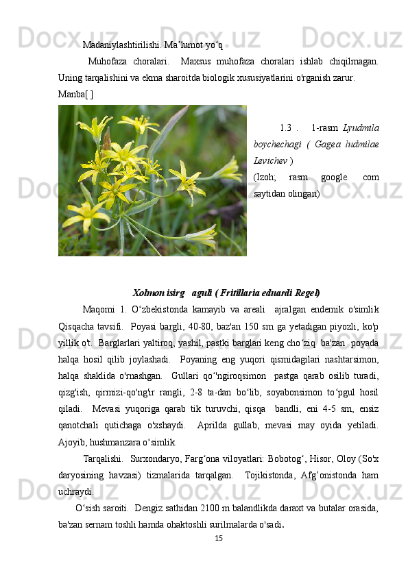 Madaniylashtirilishi. Ma lumot yo q ʼ ʻ
     Muhofaza   choralari.     Maxsus   muhofaza   choralari   ishlab   chiqilmagan.
Uning tarqalishini va ekma sharoitda biologik  xususiyatlarini  o'rganish  zarur.
Manba[ ]
            1.3   .       1-rasm   Lyudmila
boychechagi   (   Gagea   ludmilae
Levichev  )
(Izoh;   rasm   google.   com
saytidan olingan)
           
                               Xolmon isirg aguli ( Fritillaria eduardi Regel)  
’
Maqomi   1.   O zbekistonda   kamayib   va   areali     ajralgan   endemik   o'simli	
ʻ k
Qisqacha   tavsifi.     Poyasi   bargli,   40-80,   baz'an   150   sm   ga   yetadigan   piyozli,   ko'p
yillik o't.  Barglarlari yaltiroq, yashil, pastki barglari keng cho ziq  ba'zan  poyada	
ʻ
halqa   hosil   qilib   joylashadi.     Poyaning   eng   yuqori   qismidagilari   nashtarsimon,
halqa   shaklida   o'rnashgan.     Gullari   qo 'ngiroqsimon     pastga   qarab   osilib   turadi,	
ʻ
qizg'ish,   qirmizi-qo'ng'ir   rangli,   2-8   ta-dan   bo lib,   soyabonsimon   to pgul   hosil	
ʻ ʻ
qiladi.     Mevasi   yuqoriga   qarab   tik   turuvchi,   qisqa     bandli,   eni   4-5   sm,   ensiz
qanotchali   qutichaga   o'xshaydi.     Aprilda   gullab,   mevasi   may   oyida   yetiladi.
Ajoyib, hushmanzara o simlik.	
ʻ
Tarqalishi.   Surxondaryo, Farg ona viloyatlari: Bobotog , Hisor, Oloy (So'x	
ʻ ʻ
daryosining   havzasi)   tizmalarida   tarqalgan.     Tojikistonda,   Afg’onistonda   ham
uchraydi.
       O sish saroiti.  Dengiz sathidan 2100 m balandlikda daraxt va butalar orasida,	
ʻ
ba'zan sernam toshli hamda ohaktoshli surilmalarda o'sadi .
15 