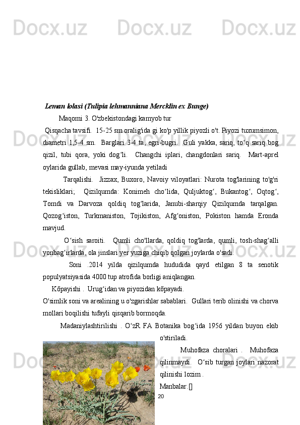              
 Leman lolasi (Tulipia lehmanniana Mercklin ex Bunge)
          Maqomi 3. O'zbekistondagi kamyob tur 
 Qisqacha tavsifi.  15-25 sm oralig'ida gi ko'p yillik piyozli o't. Piyozi tuxumsimon,
diametri   1,5-4   sm.     Barglari   3-4   ta,  egri-bugri.     Guli   yakka,   sariq,   to q   sariq   bogʻ
qizil,   tubi   qora,   yoki   dog li.    	
ʻ Changchi   iplari,   changdonlari   sariq.     Mart-aprel
oylarida gullab, mevasi may-iyunda yetiladi 
              Tarqalishi.     Jizzax,   Buxoro,   Navoiy   viloyatlari:   Nurota   tog'larining   to'g'ri
tekisliklari;     Qizilqumda:   Konimeh   cho lida,   Quljuktog ,   Bukantog ,   Oqtog ,	
ʻ ʻ ʻ ʻ
Tomdi   va   Darvoza   qoldiq   tog larida,   Janubi-sharqiy   Qizilqumda   tarqalgan.	
ʻ
Qozog iston,   Turkmaniston,   Tojikiston,   Afg oniston,   Pokiston   hamda   Eronda	
ʻ ʻ
mavjud.
            O sish   saroiti.     Qumli   cho'llarda,   qoldiq   tog'larda,   qumli,   tosh-shag alli	
ʻ ʻ
yonbag irlarda, ola jinslari yer yuziga chiqib qolgan joylarda o'sadi.	
ʻ
          Soni   .2014   yilda   qizilqumda   hududida   qayd   etilgan   8   ta   senotik
populyatsiyasida 4000 tup atrofida borligi aniqlangan.
      Kõpayishi .  Urug idan va piyozidan kõpayadi.	
ʻ
O'simlik soni va arealining u o'zgarishlar sabablari.  Gullari terib olinishi va chorva
mollari boqilishi tufayli qisqarib bormoqda.
            Madaniylashtirilishi   .   O zR   FA   Botanika   bog ida   1956   yildan   buyon   ekib	
ʻ ʻ
o'stiriladi.
            Muhofaza   choralari   .     Muhofaza
qilinmaydi.     O sib   turgan   joylari   nazorat	
ʻ
qilinishi lozim .
Manbalar. [ ]        
20 