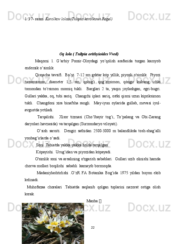 1.3 7- rasm   Korolkov  lolasi(Tulipia korolkowi Regel)
 
               
                                  Oq lola ( Tulipia orithyioides Vved)
Maqomi   1.   G arbiy   Pomir-Oloydagi   yo qolish   arafasida   turgan   kamyobʻ ʻ
endemik o simlik. 	
ʻ
Qisqacha tavsifi.   Bo yi   7-12 sm gektar kóp yillik, piyozli o'simlik.   Piyozi	
ʻ
tuxumsimon,   diameter   1,5   sm,   qobig i   qog ozsimon,   qóngir   kulrang   ichki	
ʻ ʻ
tomondan   to rsimon   momiq   tukli.     Barglari   2   ta,   yaqin   joylashgan,   egri-bugri.	
ʻ
Gullari yakka, oq, tubi sariq.   Changchi iplari sariq, ostki qismi uzun kipriksimon
tukli.     Changdoni   xira   binafsha   rangli.     May-iyun   oylarida   gullab,   mevasi   iyul-
avgustda yetiladi.
  Tarqalishi.     Xisor   tizmasi   (Cho lbayir   tog i,   To palang   va   Obi-Zarang	
ʻ ʻ ʻ
daryolari havzasida) va tarqalgan (Surxondaryo viloyati).
  O sish   saroiti.     Dengiz   sathidan   2500-3000   m   balandlikda   tosh-shag alli	
ʻ ʻ
yonbag irlarda o sadi.	
ʻ ʻ
 Soni .Tabiatda yakka-yakka holda tarqalgan.
 Kópayishi.  Urug idan va piyozidan kópayadi.	
ʻ
  O'simlik soni va arealining o'zgarish sabablari.   Gullari uzib olinishi hamda
chorva mollari boqilishi  sababli  kamayib bormoqda.
  Madaniylashtirlishi   .O zR   FA   Botanika   Bog ida   1975   yildan   buyon   ekib	
ʻ ʻ
kelinadi.
  Muhofazaa   choralari   .Tabiatda   saqlanib   qolgan   tuplarini   nazorat   ostiga   olish
kerak.
Manba []
22 