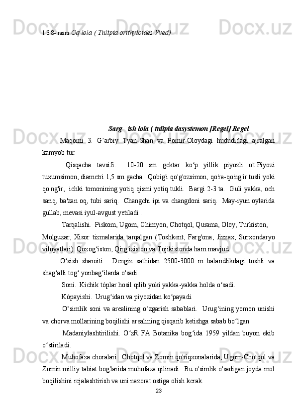 1.3 8- rasm  Oq lola ( Tulipia orithyioides Vved)
                    
                                       Sarg ish lola ( tulipia dasystemon [Regel] Regel ’
Maqomi   3.   G’arbiy   Tyan-Shan   va   Pomir-Oloydagi   hududidagi   ajralgan
kamyob tur.
  Qisqacha   tavsifi.     10-20   sm   gektar   ko p   yillik   piyozli   o't.Piyozi	
ʻ
tuxumsimon, diametri 1,5 sm gacha.  Qobig'i qo'g'ozsimon, qo'ra-qo'ng'ir tusli yoki
qo'ng'ir,   ichki tomonining yotiq qismi yotiq tukli.   Bargi 2-3 ta.   Guli yakka, och
sariq, ba'zan oq, tubi sariq.   Changchi ipi va changdoni sariq.   May-iyun oylarida
gullab, mevasi iyul-avgust yetiladi .
 Tarqalishi.  Piskom, Ugom, Chimyon, Chotqol, Qurama, Oloy, Turkiston, 
Molguzar,   Xisor   tizmalarida   tarqalgan   (Toshkent,   Farg'ona,   Jizzax,   Surxondaryo
viloyatlari). Qozog iston, Qirg'iziston va Tojikistonda ham mavjud.	
ʻ
O sish   sharoiti.     Dengiz   sathidan   2500-3000   m   balandlikdagi   toshli   va	
ʻ
shag alli tog  yonbag ilarda o'sadi.	
ʻ ʻ ʻ
 Soni.  Kichik tóplar hosil qilib yoki yakka-yakka holda o sadi.	
ʻ
 Kópayishi.  Urug idan va piyozidan ko payadi.	
ʻ ʻ
  O‘simlik soni  va arealining o‘zgarish sabablari.   Urug ining yomon unishi	
ʻ
va chorva mollarining boqilishi arealining qisqarib ketishga sabab bo lgan.	
ʻ
  Madaniylashtirilishi.   O zR   FA   Botanika   bog ida   1959   yildan   buyon   ekib	
ʻ ʻ
o stiriladi.	
ʻ
 Muhofaza choralari . Chotqol va Zomin qo'riqxonalarida, Ugom-Chotqol va
Zomin milliy tabiat bog'larida muhofaza qilinadi.  Bu o'simlik o'sadigan joyda mol
boqilishini rejalashtirish va uni nazorat ostiga olish kerak.
23 