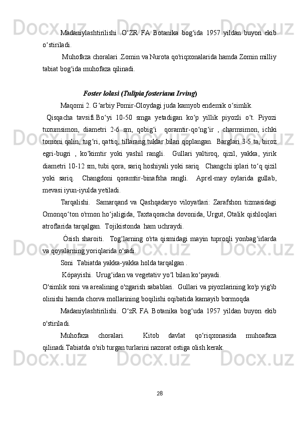   Madaniylashtirilishi   .O ZR   FA   Botanika   bog ida   1957   yildan   buyon   ekibʻ ʻ
o stiriladi.	
ʻ
 Muhofaza choralari .Zomin va Nurota qo'riqxonalarida hamda Zomin milliy
tabiat bog ida muhofaza qilinadi.	
ʻ
                        Foster lolasi (Tulipia fosteriana Irving ) 
Maqomi 2. G arbiy Pomir-Oloydagi juda kamyob endemik o simlik.	
ʻ ʻ
  Qisqacha   tavsifi.Bo yi   10-50   smga   yetadigan   ko p   yillik   piyozli   o t.   Piyozi	
ʻ ʻ ʻ
tuxumsimon,   diametri   2-6   sm,   qobig i     qoramtir-qo ng ir   ,   charmsimon,   ichki	
ʻ ʻ ʻ
tomoni qalin, tug ri, qattiq, tillarang tuklar bilan qoplangan.  Barglari 3-5 ta, biroz	
ʻ
egri-bugri   ,   ko kimtir   yoki   yashil   rangli.     Gullari   yaltiroq,   qizil,   yakka,   yirik
ʻ
diametri 10-12 sm, tubi qora, sariq hoshiyali yoki sariq.    Changchi iplari to q qizil	
ʻ
yoki   sariq.     Changdoni   qoramtir-binafsha   rangli.     Aprel-may   oylarida   gullab,
mevasi iyun-iyulda yetiladi.
  Tarqalishi.     Samarqand   va   Qashqadaryo   viloyatlari:   Zarafshon   tizmasidagi
Omonqo ton o'rmon ho jaligida, Taxtaqoracha dovonida, Urgut, Otalik qishloqlari	
ʻ ʻ
atroflarida tarqalgan.  Tojikistonda  ham uchraydi.
  Ósish   sharoiti.     Tog larning   o'rta   qismidagi   mayin   tuproqli   yonbag irlarda	
ʻ ʻ
va qoyalarning yoriqlarida o'sadi.
  Soni  Tabiatda yakka-yakka holda tarqalgan .
 Kópayishi.  Urug idan va vegetativ yo l bilan ko payadi.  	
ʻ ʻ ʻ
O'simlik soni va arealining o'zgarish sabablari.  Gullari va piyozlarining ko'p yig'ib
olinishi hamda chorva mollarining boqilishi oqibatida kamayib bormoqda
  Madaniylashtirilishi.   O zR   FA   Botanika   bog uda   1957   yildan   buyon   ekib	
ʻ ʻ
o'stiriladi.
  Muhofaza   choralari.     Kitob   davlat   qo‘riqxonasida   muhoafaza
qilinadi.Tabiatda o'sib turgan turlarini nazorat ostiga olish kerak.
28 