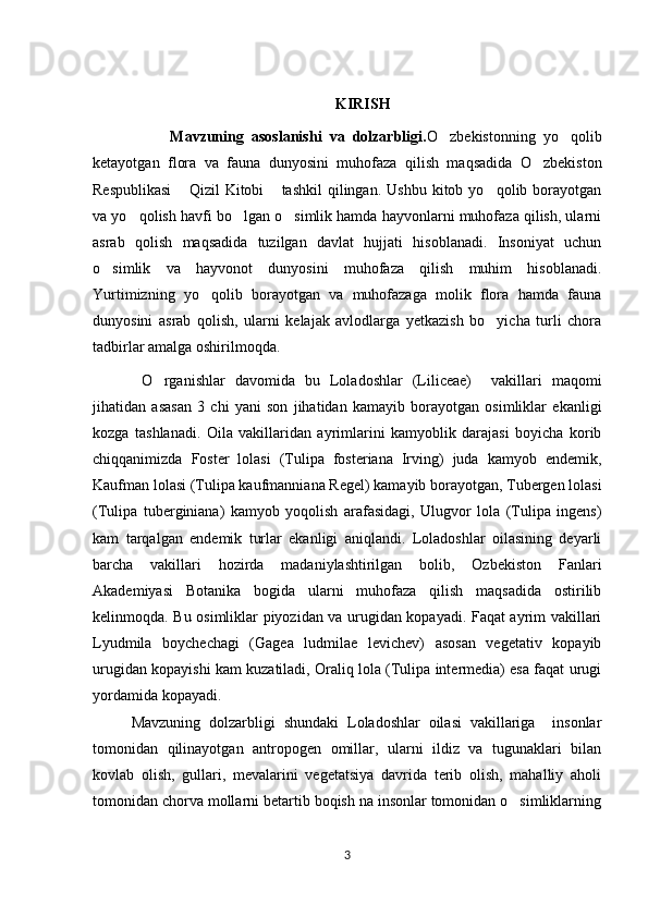                                                         
   KIRISH
                    Mavzuning   asoslanishi   va   dolzarbligi . O zbekistonning   yo qolib’ ’
ketayotgan   flora   va   fauna   dunyosini   muhofaza   qilish   maqsadida   O zbekiston	
’
Respublikasi   Qizil  Kitobi  tashkil   qilingan.  Ushbu  kitob  yo qolib  borayotgan	
“ ” ’
va yo qolish havfi bo lgan o simlik hamda hayvonlarni muhofaza qilish, ularni	
’ ’ ’
asrab   qolish   maqsadida   tuzilgan   davlat   hujjati   hisoblanadi.   Insoniyat   uchun
o simlik   va   hayvonot   dunyosini   muhofaza   qilish   muhim   hisoblanadi.	
’
Yurtimizning   yo qolib   borayotgan   va   muhofazaga   molik   flora   hamda   fauna	
’
dunyosini   asrab   qolish,   ularni   kelajak   avlodlarga   yetkazish   bo yicha   turli   chora	
’
tadbirlar amalga oshirilmoqda.
  O rganishlar   davomida   bu   Loladoshlar   (Liliceae)     vakillari   maqomi	
’
jihatidan   asasan   3   chi   yani   son   jihatidan   kamayib   borayotgan   osimliklar   ekanligi
kozga   tashlanadi.   Oila   vakillaridan   ayrimlarini   kamyoblik   darajasi   boyicha   korib
chiqqanimizda   Foster   lolasi   (Tulipa   fosteriana   Irving)   juda   kamyob   endemik,
Kaufman lolasi (Tulipa kaufmanniana Regel) kamayib borayotgan, Tubergen lolasi
(Tulipa   tuberginiana)   kamyob   yoqolish   arafasidagi,   Ulugvor   lola   (Tulipa   ingens)
kam   tarqalgan   endemik   turlar   ekanligi   aniqlandi.   Loladoshlar   oilasining   deyarli
barcha   vakillari   hozirda   madaniylashtirilgan   bolib,   Ozbekiston   Fanlari
Akademiyasi   Botanika   bogida   ularni   muhofaza   qilish   maqsadida   ostirilib
kelinmoqda. Bu osimliklar piyozidan va urugidan kopayadi. Faqat ayrim vakillari
Lyudmila   boychechagi   (Gagea   ludmilae   levichev)   asosan   vegetativ   kopayib
urugidan kopayishi kam kuzatiladi, Oraliq lola (Tulipa intermedia) esa faqat urugi
yordamida kopayadi.
Mavzuning   dolzarbligi   shundaki   Loladoshlar   oilasi   vakillariga     insonlar
tomonidan   qilinayotgan   antropogen   omillar,   ularni   ildiz   va   tugunaklari   bilan
kovlab   olish,   gullari,   mevalarini   vegetatsiya   davrida   terib   olish,   mahalliy   aholi
tomonidan chorva mollarni betartib boqish na insonlar tomonidan o simliklarning	
’
3 