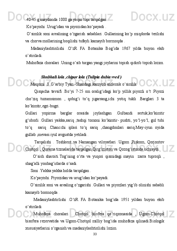  40-45 g maydonda 1000 ga yaqin tupi tarqalgan .
 Ko payishi .Urug idan va piyozidan ko payadi .ʻ ʻ ʻ
  O simlik   soni   arealining   o zgarish   sabablari   .Gullarining   ko p   miqdorda   terilishi
ʻ ʻ ʻ
va chorva mollarining boqilishi tufayli kamayib bormoqda .
    Madaniylashtirilishi   .O’zR   FA   Botanika   Bog’ida   1967   yilda   buyon   ekib
o’stiriladi.
 Muhofaza choralari .Uning o sib turgan yangi joylarini topish qidirib topish lozim.	
ʻ
                    
                 Shubhali lola ,chipor lola (Tulipia dubia vved )
     Maqomi .3  G arbiy Tyan -Shandagi kamyob endemik o simlik 	
ʻ ʻ
          Qisqacha   tavsifi   .Bo yi   7-25   sm   oralig idagi   ko p   yillik   piyozli   o t   .Piyozi	
ʻ ʻ ʻ ʻ
cho ziq   tuxumsimon   ,   qobig i   to q   jigarrang,ichi   yotiq   tukli   .Barglari   3   ta	
ʻ ʻ ʻ
ko kimtir,egri-bugri.
ʻ
Gullari   yopirma   barglar   orasida   joylashgan   .Gulbandi   sertuk,ko kimtir	
ʻ
g uborli   .Gullari   yakka,sariq   ,tashqi   tomoni   ko kimtir-   pushti,   yo l-yo l,   gul   tubi	
ʻ ʻ ʻ ʻ
to q     sariq   .Chancchi   iplari   to q   sariq   ,changdonlari   sariq.May-iyun   oyida
ʻ ʻ
gullab ,mevasi iyul avgustda yetiladi .
          Tarqalishi   .   Toshkent   va   Namangan   viloyatlari   :Ugom   ,Piskom,   Qorjontov
Chotqol , Qurama tizmalarida tarqalgan.Qirg iziston va Qozog istonda uchraydi.	
ʻ ʻ
        O sish   sharoiti.Tog ning   o rta   va   yuqori   qismidagi   mayin     zarra   tuproqli   ,	
ʻ ʻ ʻ
shag alli yonbag irlarda o sadi.	
ʻ ʻ ʻ
     Soni .Yakka yakka holda tarqalgan .
     Ko payishi. Piyozidan va urug idan ko payadi.
ʻ ʻ ʻ
     O simlik soni va arealing o zgarishi .Gullari va piyozlari yig ib olinishi sababli
ʻ ʻ ʻ
kamayib bormoqda .
Madaniylashtirlishi   .O zR   FA   Botanika   bog ida   1951   yildan   buyon   ekib	
ʻ ʻ
o stiriladi 	
ʻ
Muhofaza   choralari   .   Chotqol   biisfera   qo riqxonasida   ,   Ugom-Chotqol	
ʻ
bisofera   rezervatida   va   Ugom-Chotqol   milliy   bog ida   muhofaza   qilinadi.Biologik
ʻ
xususiyatlarini o rganish va madaniylashtirilishi lozim.	
ʻ
33 