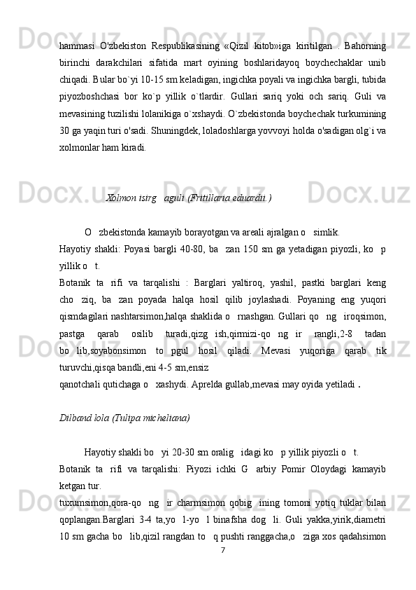 hammasi   O'zbekiston   Respublikasining   «Qizil   kitob»iga   kiritilgan   .   Bahorning
birinchi   darakchilari   sifatida   mart   oyining   boshlaridayoq   boychechaklar   unib
chiqadi. Bular bo`yi 10-15 sm keladigan, ingichka poyali va ingichka bargli, tubida
piyozboshchasi   bor   ko`p   yillik   o`tlardir.   Gullari   sariq   yoki   och   sariq.   Guli   va
mevasining tuzilishi lolanikiga o`xshaydi. O`zbekistonda boychechak turkumining
30 ga yaqin turi o'sadi. Shuningdek, loladoshlarga yovvoyi holda o'sadigan olg`i va
xolmonlar ham kiradi.
                   Xolmon isirg aguli (Fritillaria eduardii.)’
O zbekistonda kamayib borayotgan va areali ajralgan o simlik.	
‘ ‘
Hayotiy  shakli:   Poyasi   bargli   40-80,  ba zan   150   sm   ga  yetadigan   piyozli,   ko p	
’ ‘
yillik o t.	
‘
Botanik   ta rifi   va   tarqalishi   :   Barglari   yaltiroq,   yashil,   pastki   barglari   keng	
’
cho ziq,   ba zan   poyada   halqa   hosil   qilib   joylashadi.   Poyaning   eng   yuqori	
‘ ’
qismdagilari nashtarsimon,halqa shaklida o rnashgan. Gullari qo ng iroqsimon,	
‘ ‘ ’
pastga   qarab   osilib   turadi,qizg ish,qirmizi-qo ng ir   rangli,2-8   tadan	
’ ‘ ’
bo lib,soyabonsimon   to pgul   hosil   qiladi.   Mevasi   yuqoriga   qarab   tik	
‘ ‘
turuvchi,qisqa bandli,eni 4-5 sm,ensiz 
qanotchali qutichaga o xashydi. Aprelda gullab,mevasi may oyida yetiladi	
‘  .
Dilband lola (Tulipa micheliana)
Hayotiy shakli bo yi 20-30 sm oralig idagi ko p yillik piyozli o t. 
‘ ’ ‘ ‘
Botanik   ta rifi   va   tarqalishi:   Piyozi   ichki   G arbiy   Pomir   Oloydagi   kamayib	
’ ’
ketgan tur.
tuxumsimon,qora-qo ng ir   charmsimon   qobig ining   tomoni   yotiq   tuklar   bilan	
‘ ’ ’
qoplangan.Barglari   3-4   ta,yo l-yo l   binafsha   dog li.   Guli   yakka,yirik,diametri	
‘ ‘ ’
10 sm gacha bo lib,qizil rangdan to q pushti ranggacha,o ziga xos qadahsimon	
‘ ‘ ‘
7 