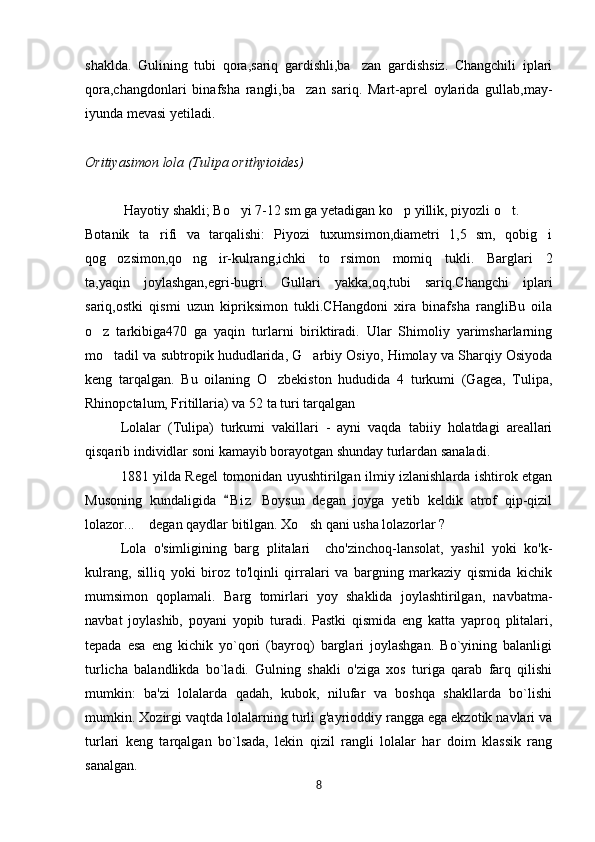 shaklda.   Gulining   tubi   qora,sariq   gardishli,ba zan   gardishsiz.   Changchili   iplari’
qora,changdonlari   binafsha   rangli,ba zan   sariq.   Mart-aprel   oylarida   gullab,may-	
’
iyunda mevasi yetiladi.
Oritiyasimon lola (Tulipa orithyioides)
 Hayotiy shakli; Bo yi 7-12 sm ga yetadigan ko p yillik, piyozli o t.	
‘ ‘ ‘
Botanik   ta rifi   va   tarqalishi:   Piyozi   tuxumsimon,diametri   1,5   sm,   qobig i	
’ ’
qog ozsimon,qo ng ir-kulrang,ichki   to rsimon   momiq   tukli.   Barglari   2	
’ ‘ ’ ‘
ta,yaqin   joylashgan,egri-bugri.   Gullari   yakka,oq,tubi   sariq.Changchi   iplari
sariq,ostki   qismi   uzun   kipriksimon   tukli.CHangdoni   xira   binafsha   rangliBu   oila
o z   tarkibiga470   ga   yaqin   turlarni   biriktiradi.   Ular   Shimoliy   yarimsharlarning	
’
mo tadil va subtropik hududlarida, G arbiy Osiyo, Himolay va Sharqiy Osiyoda	
’ ’
keng   tarqalgan.   Bu   oilaning   O zbekiston   hududida   4   turkumi   (Gagea,   Tulipa,	
’
Rhinopctalum, Fritillaria) va 52 ta tu ri tarqalgan 
Lolalar   (Tulipa)   turkumi   vakillari   -   ayni   vaqda   tabiiy   holatdagi   areallari
qisqarib individlar soni kamayib borayotgan shunday turlardan sanaladi. 
1881 yilda Regel tomonidan uyushtirilgan ilmiy izlanishlarda ishtirok etgan
Musoning   kundaligida   B i z   Boysun   degan   joyga   yetib   keldik   atrof   qip-qizil	
“
lolazor...  degan qaydlar bitilgan. Xo sh qani usha lolazorlar ?	
” ‘
Lola   o'simligining   barg   plitalari     cho'zinchoq-lansolat,   yashil   yoki   ko'k-
kulrang,   silliq   yoki   biroz   to'lqinli   qirralari   va   bargning   markaziy   qismida   kichik
mumsimon   qoplamali.   Barg   tomirlari   yoy   shaklida   joylashtirilgan,   navbatma-
navbat   joylashib,   poyani   yopib   turadi.   Pastki   qismida   eng   katta   yaproq   plitalari,
tepada   esa   eng   kichik   yo`qori   (bayroq)   barglari   joylashgan.   Bo`yining   balanligi
turlicha   balandlikda   bo`ladi.   Gulning   shakli   o'ziga   xos   turiga   qarab   farq   qilishi
mumkin:   ba'zi   lolalarda   qadah,   kubok,   nilufar   va   boshqa   shakllarda   bo`lishi
mumkin. Xozirgi vaqtda lolalarning turli g'ayrioddiy rangga ega ekzotik navlari va
turlari   keng   tarqalgan   bo`lsada,   lekin   qizil   rangli   lolalar   har   doim   klassik   rang
sanalgan.
8 