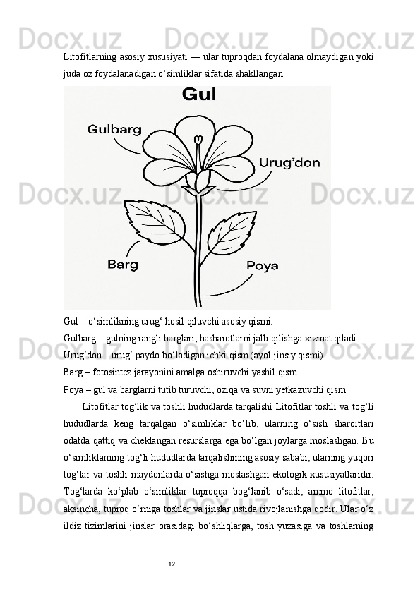 12Litofitlarning asosiy xususiyati — ular tuproqdan foydalana olmaydigan yoki
juda oz foydalanadigan o‘simliklar sifatida shakllangan. 
Gul – o‘simlikning urug‘ hosil qiluvchi asosiy qismi.
Gulbarg – gulning rangli barglari, hasharotlarni jalb qilishga xizmat qiladi.
Urug‘don – urug‘ paydo bo‘ladigan ichki qism (ayol jinsiy qismi).
Barg – fotosintez jarayonini amalga oshiruvchi yashil qism.
Poya – gul va barglarni tutib turuvchi, oziqa va suvni yetkazuvchi qism.
           Litofitlar tog‘lik va toshli hududlarda tarqalishi Litofitlar toshli va tog‘li
hududlarda   keng   tarqalgan   o‘simliklar   bo‘lib,   ularning   o‘sish   sharoitlari
odatda qattiq va cheklangan resurslarga ega bo‘lgan joylarga moslashgan. Bu
o‘simliklarning tog‘li hududlarda tarqalishining asosiy sababi, ularning yuqori
tog‘lar va toshli maydonlarda o‘sishga moslashgan ekologik xususiyatlaridir.
Tog‘larda   ko‘plab   o‘simliklar   tuproqqa   bog‘lanib   o‘sadi,   ammo   litofitlar,
aksincha, tuproq o‘rniga toshlar va jinslar ustida rivojlanishga qodir. Ular o‘z
ildiz   tizimlarini   jinslar   orasidagi   bo‘shliqlarga,   tosh   yuzasiga   va   toshlarning 
