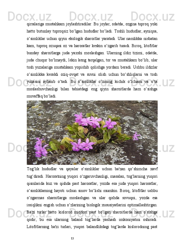 13qirralariga mustahkam joylashtiradilar. Bu joylar, odatda, ozgina tuproq yoki
hatto butunlay  tuproqsiz  bo‘lgan  hududlar   bo‘ladi.  Toshli  hududlar, ayniqsa,
o‘simliklar   uchun   qiyin   ekologik   sharoitlar   yaratadi.   Ular   namlikka   nisbatan
kam,   tuproq   ozuqasi   oz   va   haroratlar   keskin   o‘zgarib   turadi.   Biroq,   litofitlar
bunday   sharoitlarga   juda   yaxshi   moslashgan.   Ularning   ildiz   tizimi,   odatda,
juda   chuqur   bo‘lmaydi,   lekin   keng   tarqalgan,   tor   va   mustahkam   bo‘lib,   ular
tosh   yuzalariga  mustahkam   yopishib   qolishga   yordam   beradi.   Ushbu   ildizlar
o‘simlikka   kerakli   oziq-ovqat   va   suvni   olish   uchun   bo‘shliqlarni   va   tosh
yuzasini   aylanib   o‘tadi.   Bu   o‘simliklar   o‘zining   kichik   o‘lchami   va   o‘ta
moslashuvchanligi   bilan   tabiatdagi   eng   qiyin   sharoitlarda   ham   o‘sishga
muvaffaq bo‘ladi. 
Tog‘lik   hududlar   va   qayalar   o‘simliklar   uchun   ba'zan   qo‘shimcha   xavf
tug‘diradi.   Haroratning   yuqori   o‘zgaruvchanligi,   masalan,   tog‘larning   yuqori
qismlarida   kuz   va   qishda   past   haroratlar,   yozda   esa   juda   yuqori   haroratlar,
o‘simliklarning   hayoti   uchun   sinov   bo‘lishi   mumkin.   Biroq,   litofitlar   ushbu
o‘zgarmas   sharoitlarga   moslashgan   va   ular   qishda   sovuqni,   yozda   esa
issiqlikni engish uchun o‘zlarining biologik xususiyatlarini optimallashtirgan.
Ba'zi   turlar   hatto   kislorod   miqdori   past   bo‘lgan   sharoitlarda   ham   o‘sishga
qodir,   bu   esa   ularning   baland   tog‘larda   yashash   imkoniyatini   oshiradi.
Litofitlarning   ba'zi   turlari,   yuqori   balandlikdagi   tog‘larda   kislorodning   past 