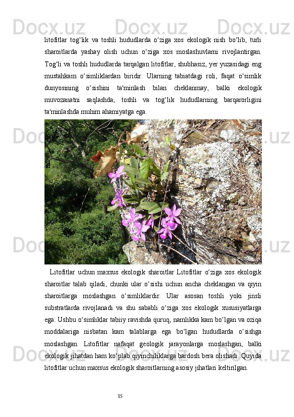 15litofitlar   tog‘lik   va   toshli   hududlarda   o‘ziga   xos   ekologik   nish   bo‘lib,   turli
sharoitlarda   yashay   olish   uchun   o‘ziga   xos   moslashuvlarni   rivojlantirgan.
Tog‘li va toshli hududlarda tarqalgan litofitlar, shubhasiz, yer yuzasidagi eng
mustahkam   o‘simliklardan   biridir.   Ularning   tabiatdagi   roli,   faqat   o‘simlik
dunyosining   o‘sishini   ta'minlash   bilan   cheklanmay,   balki   ekologik
muvozanatni   saqlashda,   toshli   va   tog‘lik   hududlarning   barqarorligini
ta'minlashda muhim ahamiyatga ega.
    Litofitlar   uchun   maxsus   ekologik   sharoitlar   Litofitlar   o‘ziga   xos   ekologik
sharoitlar   talab   qiladi,   chunki   ular   o‘sishi   uchun   ancha   cheklangan   va   qiyin
sharoitlarga   moslashgan   o‘simliklardir.   Ular   asosan   toshli   yoki   jinsli
substratlarda   rivojlanadi   va   shu   sababli   o‘ziga   xos   ekologik   xususiyatlarga
ega. Ushbu o‘simliklar tabiiy ravishda quruq, namlikka kam bo‘lgan va oziqa
moddalariga   nisbatan   kam   talablarga   ega   bo‘lgan   hududlarda   o‘sishga
moslashgan.   Litofitlar   nafaqat   geologik   jarayonlarga   moslashgan,   balki
ekologik jihatdan ham ko‘plab qiyinchiliklarga bardosh bera olishadi. Quyida
litofitlar uchun maxsus ekologik sharoitlarning asosiy jihatlari keltirilgan.  