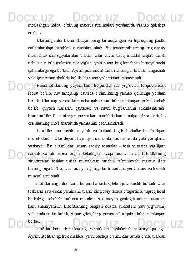 25moslashgan   holda,   o‘zining   maxsus   tuzilmalari   yordamida   yashab   qolishga
erishadi.
Ularning   ildiz   tizimi   chuqur,   keng   tarmoqlangan   va   tuproqning   pastki
qatlamlaridagi   namlikni   o‘zlashtira   oladi.   Bu   psammofitlarning   eng   asosiy
moslashuv   strategiyalaridan   biridir.   Ular   suvni   uzoq   muddat   saqlab   turish
uchun   o‘z   to‘qimalarida   suv   yig‘adi   yoki   suvni   bug‘lanishdan   himoyalovchi
qatlamlarga ega bo‘ladi. Ayrim psammofit turlarida barglar kichik, tangachali
yoki ignasimon shaklda bo‘lib, bu suvni yo‘qotishni kamaytiradi.
Psammofitlarning   poyasi   ham   ko‘pincha   suv   yig‘uvchi   to‘qimalardan
iborat   bo‘lib,   suv   tanqisligi   davrida   o‘simlikning   yashab   qolishiga   yordam
beradi.   Ularning   yuzasi   ko‘pincha   qalin   mum   bilan   qoplangan   yoki   tukchali
bo‘lib,   quyosh   nurlarini   qaytaradi   va   suvni   bug‘lanishini   sekinlashtiradi.
Psammofitlar fotosintez jarayonini kam namlikda ham amalga oshira oladi, bu
esa ularning cho‘l sharoitida yashashini osonlashtiradi.
Litofitlar   esa   toshli,   qoyalik   va   baland   tog‘li   hududlarda   o‘sadigan
o‘simliklardir. Ular deyarli tuproqsiz sharoitda, toshlar ustida yoki yoriqlarda
yashaydi.   Bu   o‘simliklar   uchun   asosiy   resurslar   -   tosh   yuzasida   yig‘ilgan
namlik   va   atmosfera   orqali   keladigan   ozuqa   moddalaridir.   Litofitlarning
strukturalari   toshlar   ustida   mustahkam   turishni   ta’minlovchi   maxsus   ildiz
tizimiga ega bo‘lib, ular tosh yoriqlariga kirib borib, u yerdan suv va kerakli
minerallarni oladi.
Litofitlarning ildiz tizimi ko‘pincha kichik, lekin juda kuchli bo‘ladi. Ular
toshlarni asta-sekin yemirishi, ularni kimyoviy tarzda o‘zgartirib, tuproq hosil
bo‘lishiga   sababchi   bo‘lishi   mumkin.   Bu   jarayon   geologik   nuqtai   nazardan
ham   ahamiyatlidir.   Litofitlarning   barglari   odatda   sukkulent   (suv   yig‘uvchi)
yoki juda qattiq bo‘lib, shuningdek, barg yuzasi  qalin qobiq bilan qoplangan
bo‘ladi.
Litofitlar   ham   atmosferadagi   namlikdan   foydalanish   xususiyatiga   ega.
Ayrim litofitlar epifitik shaklda, ya’ni boshqa o‘simliklar ustida o‘sib, ulardan 