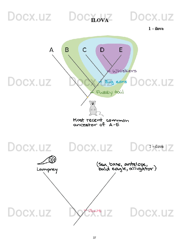 ILOVA
1 – ilova 
2 – ilova 
37 