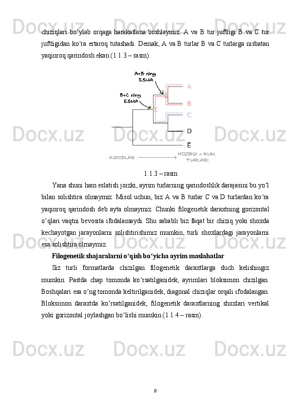 chiziqlari   bo ylab   orqaga   harakatlana   boshlaymiz.   A   va   B   tur   juftligi   B   va   C   turʻ
juftligidan ko ra ertaroq tutashadi. Demak, A va B turlar B va C turlarga nisbatan
ʻ
yaqinroq qarindosh ekan (1.1.3 – rasm).
1.1.3 – rasm
Yana shuni ham eslatish joizki, ayrim turlarning qarindoshlik darajasini bu yo l	
ʻ
bilan solishtira olmaymiz. Misol uchun, biz A va B turlar C va D turlardan ko ra
ʻ
yaqinroq   qarindosh   deb   ayta   olmaymiz.   Chunki   filogenetik   daraxtning   gorizontal
o qlari vaqtni bevosita ifodalamaydi. Shu sababli biz faqat bir chiziq yoki shoxda	
ʻ
kechayotgan   jarayonlarni   solishtirishimiz   mumkin,   turli   shoxlardagi   jarayonlarni
esa solishtira olmaymiz.
Filogenetik shajaralarni   o qish bo yicha ayrim maslahatlar	
ʻ ʻ
Siz   turli   formatlarda   chizilgan   filogenetik   daraxtlarga   duch   kelishingiz
mumkin.   Pastda   chap   tomonda   ko rsatilganidek,   ayrimlari   bloksimon   chizilgan.	
ʻ
Boshqalari esa o ng tomonda keltirilganidek, diagonal chiziqlar orqali ifodalangan.	
ʻ
Bloksimon   daraxtda   ko rsatilganidek,   filogenetik   daraxtlarning   shoxlari   vertikal	
ʻ
yoki gorizontal joylashgan bo lishi mumkin (1.1.4 – rasm).	
ʻ
8 