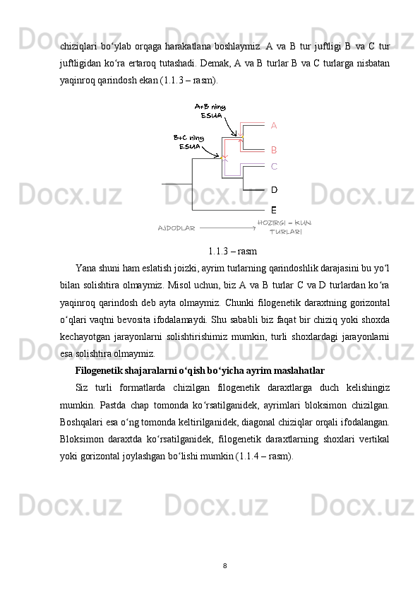 chiziqlari   bo ylab   orqaga   harakatlana   boshlaymiz.   A   va   B   tur   juftligi   B   va   C   turʻ
juftligidan ko ra ertaroq tutashadi. Demak, A va B turlar B va C turlarga nisbatan
ʻ
yaqinroq qarindosh ekan (1.1.3 – rasm).
1.1.3 – rasm
Yana shuni ham eslatish joizki, ayrim turlarning qarindoshlik darajasini bu yo l	
ʻ
bilan solishtira olmaymiz. Misol uchun, biz A va B turlar C va D turlardan ko ra
ʻ
yaqinroq   qarindosh   deb   ayta   olmaymiz.   Chunki   filogenetik   daraxtning   gorizontal
o qlari vaqtni bevosita ifodalamaydi. Shu sababli biz faqat bir chiziq yoki shoxda	
ʻ
kechayotgan   jarayonlarni   solishtirishimiz   mumkin,   turli   shoxlardagi   jarayonlarni
esa solishtira olmaymiz.
Filogenetik shajaralarni   o qish bo yicha ayrim maslahatlar	
ʻ ʻ
Siz   turli   formatlarda   chizilgan   filogenetik   daraxtlarga   duch   kelishingiz
mumkin.   Pastda   chap   tomonda   ko rsatilganidek,   ayrimlari   bloksimon   chizilgan.	
ʻ
Boshqalari esa o ng tomonda keltirilganidek, diagonal chiziqlar orqali ifodalangan.	
ʻ
Bloksimon   daraxtda   ko rsatilganidek,   filogenetik   daraxtlarning   shoxlari   vertikal	
ʻ
yoki gorizontal joylashgan bo lishi mumkin (1.1.4 – rasm).	
ʻ
8