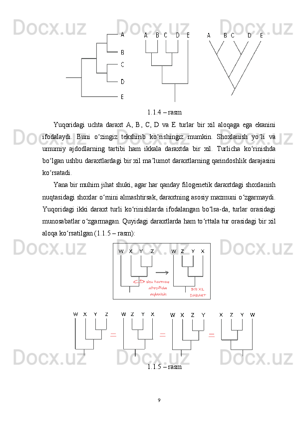 1.1.4 – rasm
Yuqoridagi   uchta   daraxt   A,   B,   C,   D   va   E   turlar   bir   xil   aloqaga   ega   ekanini
ifodalaydi.   Buni   o zingiz   tekshirib   ko rishingiz   mumkin.   Shoxlanish   yo li   vaʻ ʻ ʻ
umumiy   ajdodlarning   tartibi   ham   ikkala   daraxtda   bir   xil.   Turlicha   ko rinishda	
ʻ
bo lgan ushbu daraxtlardagi bir xil ma lumot daraxtlarning qarindoshlik darajasini	
ʻ ʼ
ko rsatadi.
ʻ
Yana bir muhim jihat shuki, agar har qanday filogenetik daraxtdagi shoxlanish
nuqtasidagi shoxlar o rnini almashtirsak, daraxtning asosiy mazmuni o zgarmaydi.	
ʻ ʻ
Yuqoridagi   ikki   daraxt   turli   ko rinishlarda   ifodalangan   bo lsa-da,   turlar   orasidagi	
ʻ ʻ
munosabatlar o zgarmagan. Quyidagi daraxtlarda ham to rttala tur orasidagi bir xil	
ʻ ʻ
aloqa ko rsatilgan (1.1.5 – rasm):	
ʻ
1.1.5 –  rasm
9 