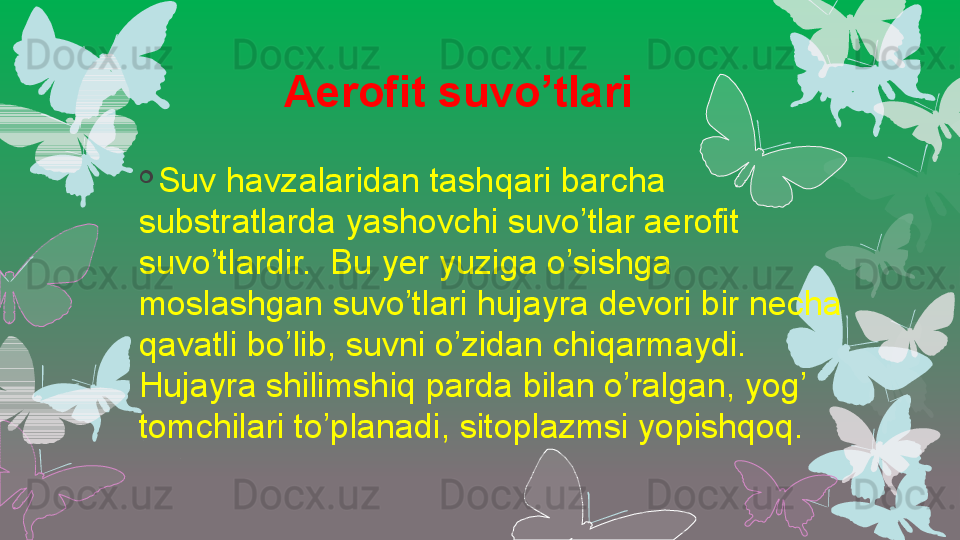 Aerofit suvo’tlari
  Suv havzalaridan tashqari barcha 
substratlarda yashovchi suvo’tlar aerofit 
suvo’tlardir.  Bu yer yuziga o’sishga 
moslashgan suvo’tlari hujayra devori bir necha 
qavatli bo’lib, suvni o’zidan chiqarmaydi. 
Hujayra shilimshiq parda bilan o’ralgan, yog’ 
tomchilari to’planadi, sitoplazmsi yopishqoq.