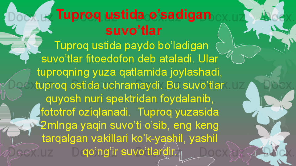 Tuproq ustida o’sadigan 
suvo’tlar
  Tuproq ustida paydo bo’ladigan 
suvo’tlar fitoedofon deb ataladi. Ular 
tuproqning yuza qatlamida joylashadi, 
tuproq ostida uchramaydi. Bu suvo’tlar 
quyosh nuri spektridan foydalanib, 
fototrof oziqlanadi.  Tuproq yuzasida 
2mlnga yaqin suvo’ti o’sib, eng keng 
tarqalgan vakillari ko’k-yashil, yashil 
qo’ng’ir suvo’tlardir.                