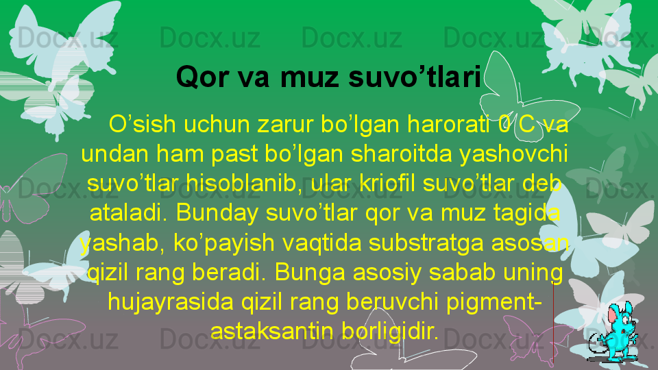 Qor va muz suvo’tlari
     O’sish uchun zarur bo’lgan harorati 0 C va 
undan ham past bo’lgan sharoitda yashovchi 
suvo’tlar hisoblanib, ular kriofil suvo’tlar deb 
ataladi. Bunday suvo’tlar qor va muz tagida 
yashab, ko’payish vaqtida substratga asosan 
qizil rang beradi. Bunga asosiy sabab uning 
hujayrasida qizil rang beruvchi pigment-
astaksantin borligidir.