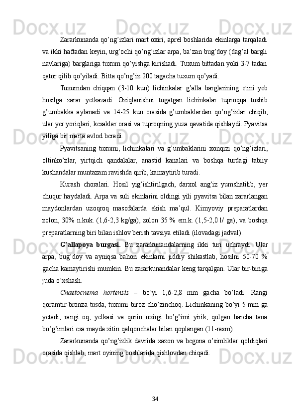 Zararkunanda qo’ng’izlari mart oxiri, aprel boshlarida ekinlarga tarqaladi
va ikki haftadan keyin, urg’ochi qo’ng’izlar arpa, ba’zan bug’doy (dag’al bargli
navlariga) barglariga tuxum qo’yishga kirishadi. Tuxum bittadan yoki 3-7 tadan
qator qilib qo’yiladi. Bitta qo’ng’iz 200 tagacha tuxum qo’yadi.
Tuxumdan   chiqqan   (3-10   kun)   lichinkalar   g’alla   barglarining   etini   yeb
hosilga   zarar   yetkazadi.   Oziqlanishni   tugatgan   lichinkalar   tuproqqa   tushib
g’umbakka   aylanadi   va   14-25   kun   orasida   g’umbaklardan   qo’ng’izlar   chiqib,
ular yer yoriqlari, kesaklar orasi va tuproqning yuza qavatida qishlaydi. Pyavitsa
yiliga bir marta avlod beradi.
Pyavitsaning   tuxumi,   lichinkalari   va   g’umbaklarini   xonqizi   qo’ng’izlari,
oltinko’zlar,   yirtqich   qandalalar,   anastid   kanalari   va   boshqa   turdagi   tabiiy
kushandalar   muntazam ravishda qirib, kamaytirib turadi.
Kurash   choralari.   Hosil   yig’ishtirilgach,   darxol   ang’iz   yumshatilib,   yer
chuqur haydaladi. Arpa va suli ekinlarini oldingi yili pyavitsa bilan zararlangan
maydonlardan   uzoqroq   masofalarda   ekish   ma’qul.   Kimyoviy   preparatlardan
zolon, 30% n.kuk. (1,6-2,3 kg/ga), zolon 35 % em.k. (1,5-2,0 l/ ga), va boshqa
preparatlarning biri bilan ishlov berish tavsiya etiladi  (ilovadagi  jadval ) .
G’alla poya   burgasi.   Bu   zararkunanda lar ning   ikki   turi   uchraydi.   Ular
arpa,   bug’doy   va   ayniqsa   bahori   ekinlarni   jiddiy   shikastlab,   hosilni   50-70   %
gacha kamaytirishi mumkin. Bu zararkunandalar keng tarqalgan. Ular bir-biriga
juda o’xshash.
Chaetocnema   hortensis   –   bo’yi   1,6-2,8   mm   gacha   bo’ladi.   Rangi
qoramtir-bronza tusda, tuxumi biroz cho’zinchoq. Lichinkaning bo’yi 5 mm ga
yetadi,   rangi   oq,   yelkasi   va   qorin   oxirgi   bo’g’imi   yirik,   qolgan   barcha   tana
bo’g’imlari esa mayda xitin qalqonchalar bilan qoplangan (11-rasm).
Zararkunanda qo’ng’izlik davrida xazon va begona o’simliklar qoldiqlari
orasida qishlab, mart oyining boshlarida qishlovdan chiqadi.
34