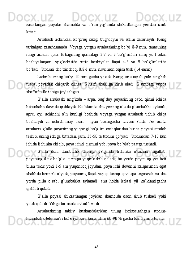 zararlangan   poyalar   shamolda   va   o’rim-yig’imda   shikastlangan   yeridan   sinib
ketadi.
Arrakash   lichinkasi   ko’proq   kuzgi   bug’doyni   va   sulini   zararlaydi.   Keng
tarkalgan   zararkunanda.  Voyaga   yetgan   arrakashning   bo’yi   8-9  mm,   tanasining
rangi   asosan   qora.   Erkagining   qornidagi   3-7   va   9   bo’g’imlari   sariq   yo’l   bilan
hoshiyalangan;   ypg’ochisida   sariq   hoshiyalar   faqat   4-6   va   9   bo’g’imlarida
bo’ladi. Tuxumi cho’zinchoq, 0,8-1 mm,   suvsimon oqish tusli (1 4 -rasm).
Lichinkasining bo’yi 10 mm gacha yetadi. Rangi xira oqish yoki sarg’ish
tusda,   poyadan   chiqarib   olinsa,   S   harfi   shakliga   kirib   oladi.   G’umbagi   yupqa
shaffof pilla ichiga joylashgan.
G’alla   arrakashi   ang’izda   –   arpa,   bug’doy   poyasining   ostki   qismi   ichida
lichinkalik davrida qishlaydi. Ko’klamda shu yerning o’zida g’umbakka aylanib,
aprel   oyi   uchinchi   o’n   kunligi   boshida   voyaga   yetgan   arrakash   uchib   chiqa
boshlaydi   va   uchish   may   oxiri   –   iyun   boshigacha   davom   etadi.   Tez   orada
arrakash  g’alla poyasining yuqorigi  bo’g’im  oraliqlaridan birida  poyani  arralab
teshib, uning ichiga bittadan, jami 35-50 ta tuxum qo’yadi. Tuxumdan 7-10 kun
ichida lichinka chiqib, poya ichki qismini yeb, poya bo’ylab pastga tushadi.
G’alla   doni   dumbullik   davriga   yetganda   lichinka   o’sishini   tugallab,
poyaning   ildiz   bo’g’zi   qismiga   yaqinlashib   qoladi;   bu   yerda   poyaning   yer   beti
bilan  tekis   yoki   1-5   sm   yuqoriroq  joyidan,   poya  ichi   devorini   xalqasimon   egat
shaklida kemirib o’yadi, poyaning faqat yupqa tashqi qavatiga tegmaydi va shu
yerda   pilla   o’rab,   g’umbakka   aylanadi,   shu   holda   kelasi   yil   ko’klamigacha
qishlab qoladi.
G’alla   poyasi   shikastlangan   joyidan   shamolda   oson   sinib   tushadi   yoki
yotib qoladi. Yiliga bir marta avlod beradi.
Arrakashning   tabiiy   kushandalaridan   uning   ixtisoslashgan   tuxum-
lichinkalik tekinxo’ri koleriya zararkunandani 60-90 % gacha kamaytirib turadi.
43