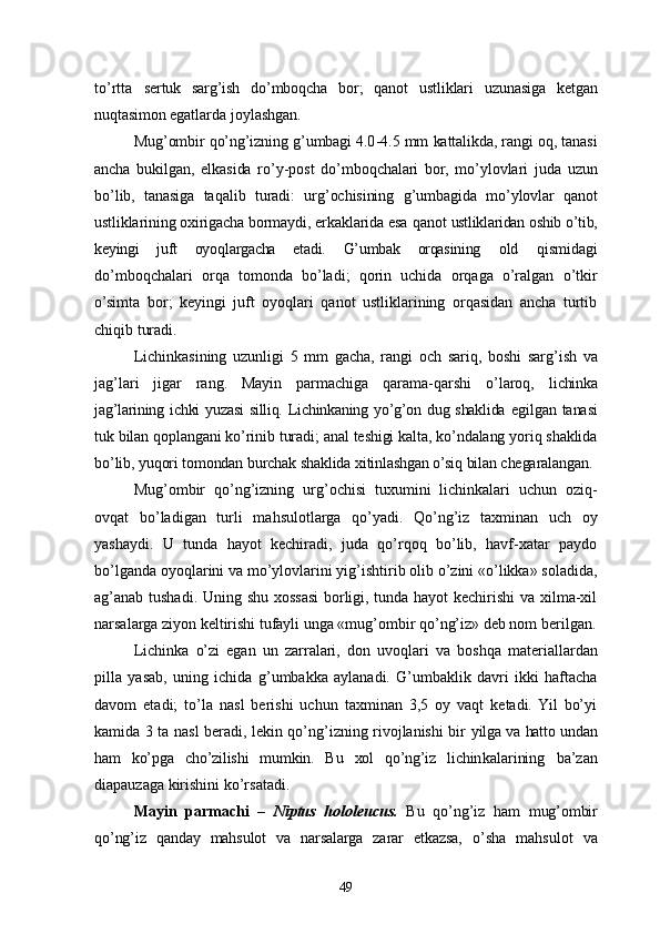 to’rtta   sertuk   sarg’ish   do’mboqcha   bor;   qanot   ustliklari   uzunasiga   ketgan
nuqtasimon  egatlarda joylashgan.
Mu g’ ombir   qo’ng’i zning  g’ umbagi 4.0 - 4.5  mm  kattalikda, rangi o q ,  tanasi
ancha   bukilgan,   elkasida   r o’ y-po st   do’mboq chalari   b o r,   m o’ ylovlar i   juda   uzun
b o’ lib,   tanasiga   ta q alib   turadi:   ur g’ ochisining   g’ umbagida   m o’ y lovlar   q anot
ustliklarining oxirigacha bormaydi, erkaklarida esa  q anot   ustliklaridan oshib  o’ tib,
keyingi   juft   oyo q largacha   etadi.   G’umbak   orqasining   old   qismidagi
do’mboqchalari   orqa   tomonda   bo’ladi;   qorin   uchida   orqaga   o’ralgan   o’tkir
o’simta   bor;   keyingi   juft   oyoqlari   qanot   ustliklarining   orqasidan   ancha   turtib
chiqib turadi.
Lichinkasining   uzunligi   5   mm   gacha,   rangi   och   sari q,   boshi   sar g’ ish   va
ja g’ lari   jigar   rang.   Mayin   parmachiga   qarama-qarshi   o’laroq,   lichinka
jag’larining ichki  yuzasi  silliq. Lichinkaning yo’g’on dug shaklida   egilgan  tanasi
tuk bilan qoplangani ko’rinib turadi; anal teshigi kalta, ko’ndalang yoriq shaklida
bo’lib, yuqori tomondan burchak shaklida xitinlashgan o’siq bilan chegaralangan.
Mu g’ ombir   qo’ n g’ izning   ur g’ ochisi   tuxumini   lichinkalari   uchun   ozi q -
ov q at   b o’ ladigan   turli   ma h sulotlarga   qo’ yadi.   Qo’ng’iz   taxminan   uch   oy
yashaydi.   U   tunda   hayot   kechiradi,   juda   qo’rqoq   bo’lib,   havf-xatar   paydo
bo’lganda oyoqlarini va mo’ylovlarini yig’ishtirib olib o’zini «o’likka» soladida,
ag’anab tushadi. Uning shu xossasi borligi, tunda hayot kechirishi va xilma-xil
narsalarga ziyon keltirishi tufayli unga «mug’ombir qo’ng’iz» deb nom berilgan.
Lichinka   o’ zi   egan   un   zarralari,   don   uvo qla ri   va   bosh q a   materiallardan
pilla   yasab,   uning   ichida   g’ umbakka   aylanadi.   G’umbaklik   davri   ikki   haftacha
davom   etadi;   to’la   nasl   berishi   uchun   taxminan   3,5   oy   vaqt   ketadi.  Yil   bo’yi
kamida 3 ta nasl beradi, lekin qo’ng’izning rivojlanishi bir   yilga va hatto undan
ham   ko’pga   cho’zilishi   mumkin.   Bu   xol   qo’ng’iz   lichin kalarining   ba’zan
diapauzaga kirishini ko’rsatadi.
Mayin   parmachi   –   Niptus   hololeucus.   Bu   qo’ng’iz   ham   mug’ombir
qo’ng’iz   qanday   mahsulot   va   narsalarga   zarar   etkazsa,   o’ sha   mahsulot   va
49