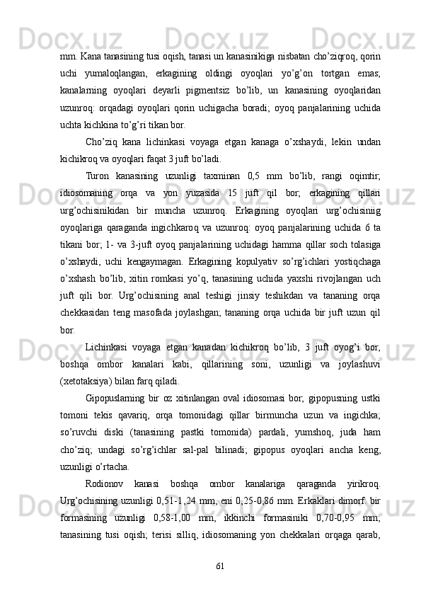mm.  Kana tanasining tusi oqish, tanasi un kanasinikiga  nisbatan cho’ziqroq, qorin
uchi   yumaloqlangan,   erkagining   oldingi   oyoqlari   yo’g’on   tortgan   emas;
kanalarning   oyoqlari   deyarli   pigmentsiz   bo’lib,   un   kanasining   oyoqlaridan
uzunroq:   orqadagi   oyoqlari   qorin   uchigacha   boradi;   oyoq   panjalarining   uchida
uchta kichkina to’g’ri tikan bor.
Cho’ziq   kana   lichinkasi   voyaga   etgan   kanaga   o’xshaydi,   lekin   undan
kichikroq va oyoqlari faqat 3 juft bo’ladi .
Turon   kanasining   uzunligi   taxminan   0,5   mm   bo’lib,   rangi   o qi mtir;
idiosomaning   or q a   va   yo n   yu zasida   15   juft   q i l   bor;   erkagining   q illari
ur g’ ochisinikidan   bir   muncha   uzunro q .   Erkagining   oyo q lari   ur g’ ochisiniig
oyo q lariga   q araganda   ingichkaro q   va   uzunro q :   oyo q   panjalarining   uchida   6   ta
t i kani  bor;  1-  va  3-juft   oyo q   panjalarining  uchidagi  hamma   q illar   soch   tolas iga
o’ xshaydi,   uchi   kengaymaga n .   Erkagining   kopulyativ   so’rg’ichlari   yostiqchaga
o’xshash   bo’lib,   xitin   romkasi   yo’q,   tanasining   uchida   yaxshi   rivojlangan   uch
juft   qili   bor.   Urg’ochisining   anal   teshigi   jinsiy   teshikdan   va   tananing   orqa
chekkasidan   teng   masofada   joylashgan;   tananing   orqa   uchida   bir   juft   uzun   qil
bor.
Lichinkasi   voyaga   etgan   kanadan   kichikroq   bo’lib,   3   juft   oyog’i   bor,
boshqa   ombor   kanalari   kabi,   qillarining   soni,   uzunligi   va   joylashuvi
(xetotaksiya) bilan farq qiladi.
Gipopuslarning   bir   oz   xitinlangan   oval   idiosomasi   bor;   gipopusning   ustki
tomoni   tekis   qavariq,   orqa   tomonidagi   qillar   bir muncha   uzun   va   ingichka;
so’ruvchi   diski   (tanasining   pastki   tomonida)   pardali,   yumshoq,   juda   ham
cho’ziq;   undagi   so’rg’ichlar   sal-pal   bilinadi;   gipopus   oyoqlari   ancha   keng,
uzunligi o’rtacha.
Rodionov   kana si   bosh q a   ombor   kanalariga   q araganda   yirikro q .
Urg’ochisining   uzunligi 0,51 - 1 , 24 mm,   eni 0,25-0,86   mm. Erkakl ari   dimorf: bir
formasining   uzunligi   0,58-1,00   mm,   ikkinchi   forma siniki   0,70-0,95   mm;
tanasining   tusi   oqish;   terisi   silliq,   idiosomaning   yon   chekkalari   orqaga   qarab,
61