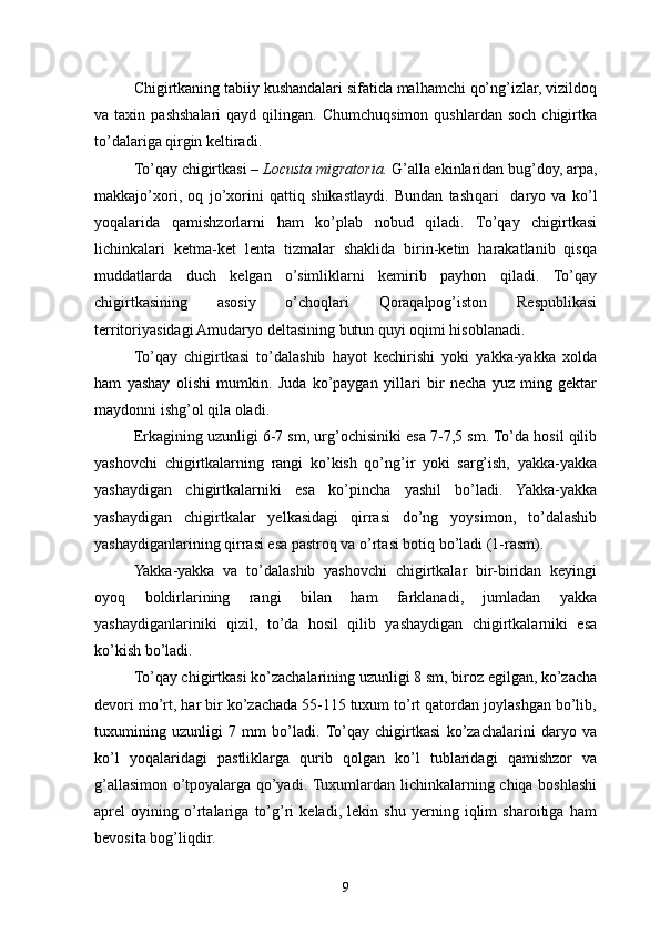 Chigirtkaning tabiiy kushandalari sifatida malhamchi qo’ng’izlar, vizildoq
va  taxin  pashshalari   qayd  qilingan.  Chumchuqsimon   qushlardan  soch   chigirtka
to’dalariga qirgin keltiradi.
To’qay chigirtkasi –  Locusta migratoria.   G’alla ekinlaridan bug’doy, arpa,
makkajo’xori,   oq   jo’xorini   qattiq   shikastlaydi.   Bundan   tash q ari     daryo   va   ko’l
yoqalarida   qamishzorlarni   ham   ko’plab   nobud   qiladi.   To’qay   chigirtkasi
lichinkalari   ketma-ket   lenta   tizmalar   shaklida   birin-ketin   harakatlanib   qisqa
muddatlarda   duch   kelgan   o’simliklarni   kemirib   payhon   qiladi.   To’qay
chigirtkasining   asosiy   o’choqlari   Qoraqalpog’iston   Respublikasi
territoriyasidagi Amudaryo deltasining butun quyi oqimi hisoblanadi.
To’qay   chigirtkasi   to’dalashib   hayot   kechirishi   yoki   yakka-yakka   xolda
ham   yashay   olishi   mumkin.   Juda   ko’paygan   yillari   bir   necha   yuz   ming   gektar
maydonni ishg’ol qila oladi.
Erkagining uzunligi 6-7 sm, ur g’ ochisiniki esa 7-7,5 sm. To’da hosil qilib
yashovchi   chigirtkalarning   rangi   ko’kish   qo’ng’ir   yoki   sarg’ish,   yakka-yakka
yashaydigan   chigirtkalarniki   esa   ko’pincha   yashil   bo’ladi.   Yakka-yakka
yashaydigan   chigirtkalar   yelkasidagi   qirrasi   do’ng   yoysimon,   to’dalashib
yashaydiganlarining qirrasi esa pastroq va o’rtasi botiq bo’ladi (1-rasm).
Yakka-yakka   va   to’dalashib   yashovchi   chigirtkalar   bir-biridan   keyingi
oyoq   boldirlarining   rangi   bilan   ham   farklanadi,   jumladan   yakka
yashaydiganlariniki   qizil,   to’da   hosil   qilib   yashaydigan   chigirtkalarniki   esa
ko’kish bo’ladi.
To’qay chigirtkasi ko’zachalarining uzunligi 8 sm, biroz egilgan, ko’zacha
devori mo’rt, har bir ko’zachada 55-115 tuxum to’rt qatordan joylashgan bo’lib,
tuxumining   uzunligi   7   mm   bo’ladi.  To’qay   chigirtkasi   ko’zachalarini   daryo   va
ko’l   yoqalaridagi   pastliklarga   qurib   qolgan   ko’l   tublaridagi   qamishzor   va
g’allasimon o’tpoyalarga qo’yadi. Tuxumlardan lichinkalarning chiqa boshlashi
aprel   oyining   o’rtalariga   to’g’ri   keladi,   lekin   shu   yerning   iqlim   sharoitiga   ham
bevosita bog’liqdir.
9