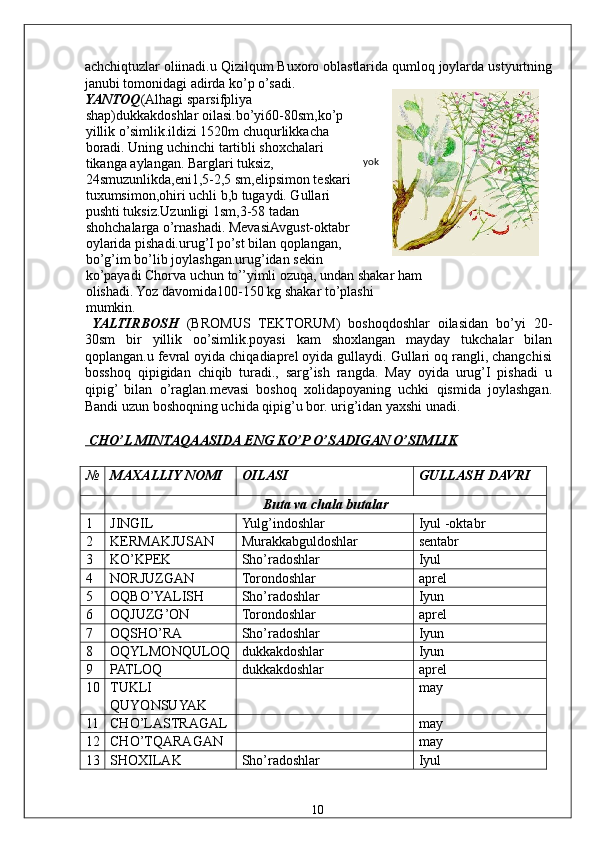 achchiqtuzlar oliinadi.u Qizilqum Buxoro oblastlarida qumloq joylarda ustyurtning
janubi tomonidagi adirda ko’p o’sadi. 
YANTOQ (Alhagi sparsifpliya
shap)dukkakdoshlar oilasi.bo’yi60-80sm,ko’p
yillik o’simlik.ildizi 1520m chuqurlikkacha
boradi. Uning uchinchi tartibli shoxchalari
tikanga aylangan. Barglari tuksiz,
24smuzunlikda,eni1,5-2,5 sm,elipsimon teskari
tuxumsimon,ohiri uchli b,b tugaydi. Gullari
pushti tuksiz.Uzunligi 1sm,3-58 tadan
shohchalarga o’rnashadi. MevasiAvgust-oktabr
oylarida pishadi.urug’I po’st bilan qoplangan,
bo’g’im bo’lib joylashgan.urug’idan sekin
ko’payadi Chorva uchun to’’yimli ozuqa, undan shakar ham
olishadi. Yoz davomida100-150 kg shakar to’plashi 
mumkin.  
  YALTIRBOSH   (BROMUS   TEKTORUM)   boshoqdoshlar   oilasidan   bo’yi   20-
30sm   bir   yillik   oo’simlik.poyasi   kam   shoxlangan   mayday   tukchalar   bilan
qoplangan.u fevral oyida chiqadiaprel oyida gullaydi. Gullari oq rangli, changchisi
bosshoq   qipigidan   chiqib   turadi.,   sarg’ish   rangda.   May   oyida   urug’I   pishadi   u
qipig’   bilan   o’raglan.mevasi   boshoq   xolidapoyaning   uchki   qismida   joylashgan.
Bandi uzun boshoqning uchida qipig’u bor. urig’idan yaxshi unadi. 
 
 CHO’L MINTAQAASIDA ENG KO’P O’SADIGAN O’SIMLIK  
 
№ MAXALLIY NOMI  OILASI  GULLASH DAVRI 
  Buta va chala butalar 
1  JINGIL  Yulg’indoshlar  Iyul -oktabr 
2  KERMAKJUSAN  Murakkabguldoshlar  sentabr 
3  KO’KPEK  Sho’radoshlar  Iyul 
4  NORJUZGAN  Torondoshlar  aprel 
5  OQBO’YALISH  Sho’radoshlar  Iyun 
6  OQJUZG’ON  Torondoshlar  aprel 
7  OQSHO’RA  Sho’radoshlar  Iyun 
8  OQYLMONQULOQ  dukkakdoshlar  Iyun 
9  PATLOQ  dukkakdoshlar  aprel 
10  TUKLI 
QUYONSUYAK    may 
11  CHO’LASTRAGAL    may 
12  CHO’TQARAGAN    may 
13  SHOXILAK  Sho’radoshlar  Iyul 
  10   yok                                                               