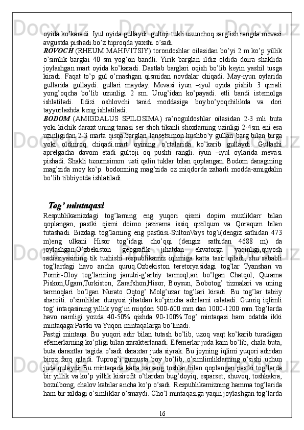 oyida ko’karadi. Iyul oyida gullaydi. gultoji tukli uzunchoq sarg’ish rangda mevasi
avgustda pishadi.bo’z tuproqda yaxshi o’sadi. 
ROVOCH   (RHEUM MAHIVITSIY) torondoshlar oilasidan bo’yi 2 m ko’p yillik
o’simlik   barglai   40   sm   yog’on   bandli.   Yirik   barglari   ildiz   oldida   doira   shaklida
joylashgan mart  oyida ko’karadi.  Dastlab barglari  oqish  bo’lib keyin yashil  tusga
kiradi.   Faqat   to’p   gul   o’rnashgan   qismidan   novdalar   chiqadi.   May-iyun   oylarida
gullarida   gullaydi.   gullari   mayday.   Mevasi   iyun   –iyul   oyida   pishib   3   qirrali
yong’oqcha   bo’lib   uzunligi   2   sm.   Urug’idan   ko’payadi.   etli   bandi   istemolga
ishlatiladi.   Ildizi   oshlovchi   tanid   moddasiga   boy.bo’yoqchilikda   va   dori
tayyorlashda keng ishlatiladi. 
BODOM   (AMIGDALUS   SPILOSIMA)   ra’noguldoshlar   oilasidan   2-3   mli   buta
yoki kichik daraxt uning tanasi ser shoh tikanli shoxlarning uzinligi 2-4sm eni esa
uzinligidan 2-3 marta qisqa.barglari lansetsimon hushbo’y gullari barg bilan birga
yoki   oldinroq   chiqadi.mart   oyining   o’rtalarida   ko’karib   gullaydi.   Gullashi
aprelgacha   davom   etadi   gultoji   oq   pushti   rangli.   iyun   –iyul   oylarida   mevasi
pishadi. Shakli tuxumsimon. usti qalin tuklar bilan qoplangan. Bodom danagining
mag’zida   moy   ko’p.   bodomning   mag’zida   oz   miqdorda   zaharli   modda-amigdalin
bo’lib tibbiyotda ishlatiladi. 
 
 
    Tog’ mintaqasi 
Respublikamizdagi   tog’larning   eng   yuqori   qismi   dopim   muzliklarr   bilan
qoplangan,   pastki   qismi   doimo   jazirama   issiq   qizilqum   va   Qoraqum   bilan
tutashadi.   Bizdagi   tog’larning   eng   pastkisi-SultonVays   tog’i(dengiz   sathidan   473
m)eng   ulkani   Hisor   tog’idagi   cho’qqi   (dengiz   sathidan   4688   m)   da
joylashgan.O’zbekiston   geografik   jihatdan   ekvatorga   yaqinligi,quyosh
radiasiyasining   tik   tushishi   respublikamiz   iqlimiga   katta   tasir   qiladi,   shu   sababli
tog’lardagi   havo   ancha   quruq.Ozbekiston   teretoryasidagi   tog’lar   Tyanshan   va
Pomir-Oloy   tog’larining   janubi-g’arbiy   tarmoql;ari   bo’lgan   Chatqol,   Qurama
Piskon,Ugam,Turkiston,   Zarafshon,Hisor,   Boysun,   Bobotog’   tizmalari   va   uning
tarmoqlari   bo’lgan   Nurato   Oqtog’   Molg’uzar   tog’lari   kiradi.   Bu   tog’lar   tabiiy
sharoiti.   o’simliklar   dunyosi   jihatdan   ko’pincha   adirlarni   eslatadi.   Gumiq   iqlimli
tog’ intaqasining yillik yog’in miqdori 500-600 mm dan 1000-1200 mm.Tog’larda
havo   namligi   yozda   40-50%   qishda   90-100%.Tog’   mintaqasi   ham   odatda   ikki
mintaqaga:Pastki va Yuqori mintaqalarga bo’linadi. 
Pastgi   mintaqa.   Bu   yuqori   adir   bilan   tutash   bo’lib,   uzoq   vaqt   ko’karib   turadigan
efemerlarning ko’pligi bilan xarakterlanadi. Efemerlar juda kam bo’lib, chala buta,
buta daraxtlar tagida o’sadi daraxtar juda siyrak. Bu joyning iqlimi yuqori adirdan
biroz   farq   qiladi.   Tuprog’i   gumusta   boy   bo’lib,   o’simlimliklarning   o’sishi   uchun
juda qulaydir.Bu mintaqada katta xarsang toshlar bilan qoplangan pastki tog’larda
bir yillik va ko’p yillik kisirofit o’tlardan bug’doyiq, esparset, shuvoq, toshkakra,
bozulbong, chalov kabilar ancha ko’p o’sadi. Respublikamizning hamma tog’larida
ham bir xildagi o’simliklar o’smaydi. Cho’l mintaqasiga yaqin joylashgan tog’larda
  16   