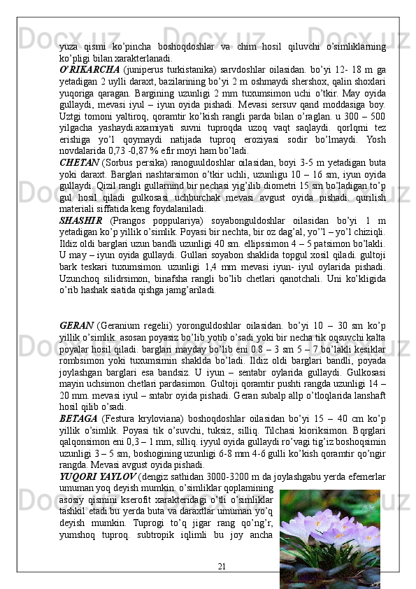 yuza   qismi   ko’pincha   boshoqdoshlar   va   chim   hosil   qiluvchi   o’simliklarning
ko’pligi bilan xarakterlanadi. 
O’RIKARCHA   (juniperus   turkistanika)   sarvdoshlar   oilasidan.   bo’yi   12-   18   m   ga
yetadigan 2 uylli daraxt, bazilarining bo’yi 2 m oshmaydi shershox, qalin shoxlari
yuqoriga   qaragan.   Bargining   uzunligi   2   mm   tuxumsimon   uchi   o’tkir.   May   oyida
gullaydi,   mevasi   iyul   –   iyun   oyida   pishadi.   Mevasi   sersuv   qand   moddasiga   boy.
Uztgi   tomoni   yaltiroq,   qoramtir   ko’kish   rangli   parda   bilan   o’raglan.   u   300   –   500
yilgacha   yashaydi.axamiyati   suvni   tuproqda   uzoq   vaqt   saqlaydi.   qorlqrni   tez
erishiga   yo’l   qoymaydi   natijada   tuproq   eroziyasi   sodir   bo’lmaydi.   Yosh
novdalarida 0,73 -0,87 % efir moyi ham bo’ladi. 
CHETAN   (Sorbus  persika)  ranoguuldoshlar   oilasidan,  boyi  3-5 m   yetadigan buta
yoki   daraxt.   Barglari   nashtarsimon   o’tkir   uchli,   uzunligu   10   –   16   sm,   iyun   oyida
gullaydi. Qizil rangli gullarnind bir nechasi yig’ilib diometri 15 sm bo’ladigan to’p
gul   hosil   qiladi   gulkosasi   uchburchak   mevasi   avgust   oyida   pishadi.   qurilish
materiali siffatida keng foydalaniladi. 
SHASHIR   (Prangos   poppulariya)   soyabonguldoshlar   oilasidan   bo’yi   1   m
yetadigan ko’p yillik o’simlik. Poyasi bir nechta, bir oz dag’al, yo’’l – yo’l chiziqli.
Ildiz oldi barglari uzun bandli uzunligi 40 sm. ellipssimon 4 – 5 patsimon bo’lakli.
U may – iyun oyida gullaydi. Gullari soyabon shaklida topgul xosil qiladi. gultoji
bark   teskari   tuxumsimon.   uzunligi   1,4   mm   mevasi   iyun-   iyul   oylarida   pishadi.
Uzunchoq   silidrsimon,   binafsha   rangli   bo’lib   chetlari   qanotchali.   Uni   ko’kligida
o’rib hashak siatida qishga jamg’ariladi. 
 
 
GERAN   (Geranium   regelii)   yoronguldoshlar   oilasidan.   bo’yi   10   –   30   sm   ko’p
yillik o’simlik. asosan poyasiz bo’lib yotib o’sadi yoki bir necha tik oqsuvchi kalta
poyalar hosil qiladi. barglari mayday bo’lib eni 0.8 – 3 sm 5 – 7 bo’lakli kesiklar
rombsimon   yoki   tuxumsimin   shaklda   bo’ladi.   Ildiz   oldi   barglari   bandli,   poyada
joylashgan   barglari   esa   bandsiz.   U   iyun   –   sentabr   oylarida   gullaydi.   Gulkosasi
mayin uchsimon chetlari pardasimon. Gultoji qoramtir pushti rangda uzunligi 14 –
20 mm. mevasi iyul – sntabr oyida pishadi. Geran subalp allp o’tloqlarida lanshaft
hosil qilib o’sadi. 
BETAGA   (Festura   kryloviana)   boshoqdoshlar   oilasidan   bo’yi   15   –   40   cm   ko’p
yillik   o’simlik.   Poyasi   tik   o’suvchi,   tuksiz,   silliq.   Tilchasi   kioriksimon.   Bqrglari
qalqonsimon eni 0,3 – 1 mm, silliq. iyyul oyida gullaydi ro’vagi tig’iz boshoqsimin
uzunligi 3 – 5 sm, boshogining uzunligi 6-8 mm 4-6 gulli ko’kish qoramtir qo’ngir
rangda. Mevasi avgust oyida pishadi. 
YUQORI YAYLOV  (dengiz sathidan 3000-3200 m da joylashgabu yerda efemerlar
umuman yoq deyish mumkin. o’simliklar qoplamining
asosiy   qismini   kserofit   xarakteridagi   o’tli   o’simliklar
tashkil etadi.bu yerda buta va daraxtlar umuman yo’q
deyish   mumkin.   Tuprogi   to’q   jigar   rang   qo’ng’r,
yumshoq   tuproq.   subtropik   iqlimli   bu   joy   ancha
  21   