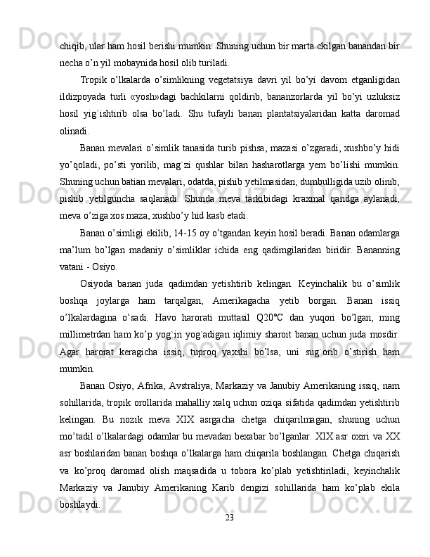 chiqib, ular ham hosil berishi mumkin. Shuning uchun bir marta ckilgan banandan bir
necha o’n yil mobaynida hosil olib turiladi. 
Tropik   o’lkalarda   o’simlikning   vegetatsiya   davri   yil   bo’yi   davom   etganligidan
ildizpoyada   turli   «yosh»dagi   bachkilarni   qoldirib,   bananzorlarda   yil   bo’yi   uzluksiz
hosil   yig`ishtirib   olsa   bo’ladi.   Shu   tufayli   banan   plantatsiyalaridan   katta   daromad
olinadi. 
Banan  mevalari  o’simlik  tanasida  turib  pishsa,  mazasi   o’zgaradi,  xushbo’y hidi
yo’qoladi,   po’sti   yorilib,   mag`zi   qushlar   bilan   hasharotlarga   yem   bo’lishi   mumkin.
Shuning uchun batian mevalari, odatda, pishib yetilmasidan, dumbulligida uzib olinib,
pishib   yetilguncha   saqlanadi.   Shunda   meva   tarkibidagi   kraxmal   qandga   aylanadi,
meva o’ziga xos maza, xushbo’y hid kasb etadi. 
Banan o’simligi ekilib, 14-15 oy o’tgandan keyin hosil beradi. Banan odamlarga
ma’lum   bo’lgan   madaniy   o’simliklar   ichida   eng   qadimgilaridan   biridir.   Bananning
vatani - Osiyo. 
Osiyoda   banan   juda   qadimdan   yetishtirib   kelingan.   Keyinchalik   bu   o’simlik
boshqa   joylarga   ham   tarqalgan,   Amerikagacha   yetib   borgan.   Banan   issiq
o’lkalardagina   o’sadi.   Havo   harorati   muttasil   Q20°C   dan   yuqori   bo’lgan,   ming
millimetrdan  ham  ko’p  yog`in  yog`adigan  iqlimiy  sharoit   banan  uchun  juda  mosdir.
Agar   harorat   keragicha   issiq,   tuproq   yaxshi   bo’lsa,   uni   sug`orib   o’stirish   ham
mumkin. 
Banan Osiyo, Afrika, Avstraliya, Markaziy va Janubiy Amerikaning issiq, nam
sohillarida, tropik orollarida mahalliy xalq uchun oziqa sifatida qadimdan yetishtirib
kelingan.   Bu   nozik   meva   XIX   asrgacha   chetga   chiqarilmagan,   shuning   uchun
mo’tadil o’lkalardagi odamlar bu mevadan bexabar bo’lganlar. XIX asr oxiri va XX
asr boshlaridan banan boshqa o’lkalarga ham chiqarila boshlangan. Chetga chiqarish
va   ko’proq   daromad   olish   maqsadida   u   tobora   ko’plab   yetishtiriladi,   keyinchalik
Markaziy   va   Janubiy   Amerikaning   Karib   dengizi   sohillarida   ham   ko’plab   ekila
boshlaydi. 
23 