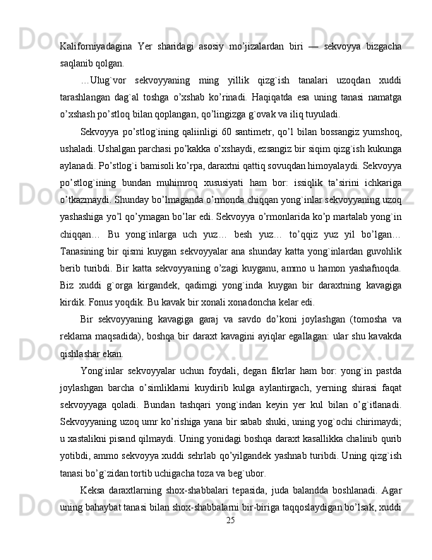 Kaliforniyadagina   Yer   sharidagi   asosiy   mo’jizalardan   biri   —   sekvoyya   bizgacha
saqlanib qolgan. 
…Ulug`vor   sekvoyyaning   ming   yillik   qizg`ish   tanalari   uzoqdan   xuddi
tarashlangan   dag`al   toshga   o’xshab   ko’rinadi.   Haqiqatda   esa   uning   tanasi   namatga
o’xshash po’stloq bilan qoplangan, qo’lingizga g`ovak va iliq tuyuladi. 
Sekvoyya   po’stlog`ining   qaliinligi   60   santimetr,   qo’l   bilan   bossangiz   yumshoq,
ushaladi. Ushalgan parchasi po’kakka o’xshaydi, ezsangiz bir siqim qizg`ish kukunga
aylanadi. Po’stlog`i bamisoli ko’rpa, daraxtni qattiq sovuqdan himoyalaydi. Sekvoyya
po’stlog`ining   bundan   muhimroq   xususiyati   ham   bor:   issiqlik   ta’sirini   ichkariga
o’tkazmaydi. Shunday bo’lmaganda o’rmonda chiqqan yong`inlar sekvoyyaning uzoq
yashashiga yo’l qo’ymagan bo’lar edi. Sekvoyya o’rmonlarida ko’p martalab yong`in
chiqqan…   Bu   yong`inlarga   uch   yuz…   besh   yuz…   to’qqiz   yuz   yil   bo’lgan…
Tanasining   bir  qismi   kuygan  sekvoyyalar  ana   shunday  katta   yong`inlardan  guvohlik
berib   turibdi.   Bir   katta   sekvoyyaning   o’zagi   kuyganu,   ammo   u  hamon   yashafnoqda.
Biz   xuddi   g`orga   kirgandek,   qadimgi   yong`inda   kuygan   bir   daraxtning   kavagiga
kirdik. Fonus yoqdik. Bu kavak bir xonali xonadoncha kelar edi. 
Bir   sekvoyyaning   kavagiga   garaj   va   savdo   do’koni   joylashgan   (tomosha   va
reklama maqsadida), boshqa bir daraxt  kavagini ayiqlar  egallagan: ular  shu kavakda
qishlashar ekan. 
Yong`inlar   sekvoyyalar   uchun   foydali,   degan   fikrlar   ham   bor:   yong`in   pastda
joylashgan   barcha   o’simliklarni   kuydirib   kulga   aylantirgach,   yerning   shirasi   faqat
sekvoyyaga   qoladi.   Bundan   tashqari   yong`indan   keyin   yer   kul   bilan   o’g`itlanadi.
Sekvoyyaning uzoq umr ko’rishiga yana bir sabab shuki, uning yog`ochi chirimaydi;
u xastalikni pisand qilmaydi. Uning yonidagi boshqa daraxt kasallikka chalinib qurib
yotibdi, ammo sekvoyya xuddi sehrlab qo’yilgandek yashnab turibdi. Uning qizg`ish
tanasi bo’g`zidan tortib uchigacha toza va beg`ubor. 
Keksa   daraxtlarning   shox-shabbalari   tepasida,   juda   balandda   boshlanadi.   Agar
uning bahaybat tanasi bilan shox-shabbalarni bir-biriga taqqoslaydigan bo’lsak, xuddi
25 