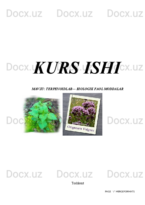 KURS ISHI
MAVZU: TERPENOIDLAR— BIOLOGIK FAOL MODDALAR
Toshkent
PAGE   \* MERGEFORMAT1 