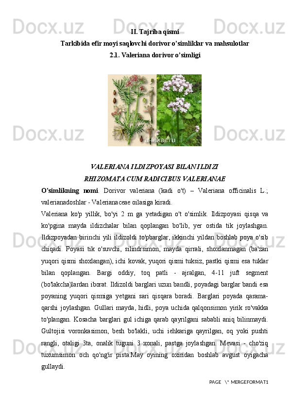 II. Tajriba qismi
Tarkibida efir moyi saqlovchi dorivor o’simliklar va mahsulotlar
2.1. Valeriana dorivor o’simligi
VALERIANA ILDIZPOYASI BlLAN ILDIZI
RHIZOMATA CUM RADICIBUS VALERIANAE 
O'simlikning   nomi .   Dorivor   valeriana   (kadi   o't)   –   Valeriana   officinalis   L.;
valerianadoshlar - Valerianaceae oilasiga kiradi.
Valeriana   ko'p   yillik,   bo'yi   2   m   ga   yetadigan   o't   o'simlik.   Ildizpoyasi   qisqa   va
ko'pgina   mayda   ildizchalar   bilan   qoplangan   bo'lib,   yer   ostida   tik   joylashgan.
Ildizpoyadan  birinchi  yili  ildizoldi   to'pbarglar,  ikkinchi  yildan  boshlab  poya o'sib
chiqadi.   Poyasi   tik   o'suvchi,   silindrsimon,   mayda   qirrali,   shoxlanmagan   (ba'zan
yuqori qismi shoxlangan), ichi kovak, yuqori qismi tuksiz, pastki qismi esa tuklar
bilan   qoplangan.   Bargi   oddiy,   toq   patli   -   ajralgan,   4-11   juft   segment
(bo'lakcha)lardan iborat. Ildizoldi barglari uzun bandli, poyadagi barglar bandi esa
poyaning   yuqori   qismiga   yetgani   sari   qisqara   boradi.   Barglari   poyada   qarama-
qarshi   joylashgan.   Gullari   mayda,   hidli,   poya   uchida   qalqonsimon   yirik   ro'vakka
to'plangan.   Kosacha   barglari   gul   ichiga   qarab   qayrilgani   sababli   aniq   bilinmaydi.
Gultojisi   voronkasimon,   besh   bo'lakli,   uchi   iehkariga   qayrilgan,   oq   yoki   pushti
rangli,   otaligi   3ta,   onalik   tuguni   3   xonali,   pastga   joylashgan.   Mevasi   -   cho'ziq
tuxumsimon   och   qo'ng'ir   pista.May   oyining   oxiridan   boshlab   avgust   oyigacha
gullaydi.
PAGE   \* MERGEFORMAT1 