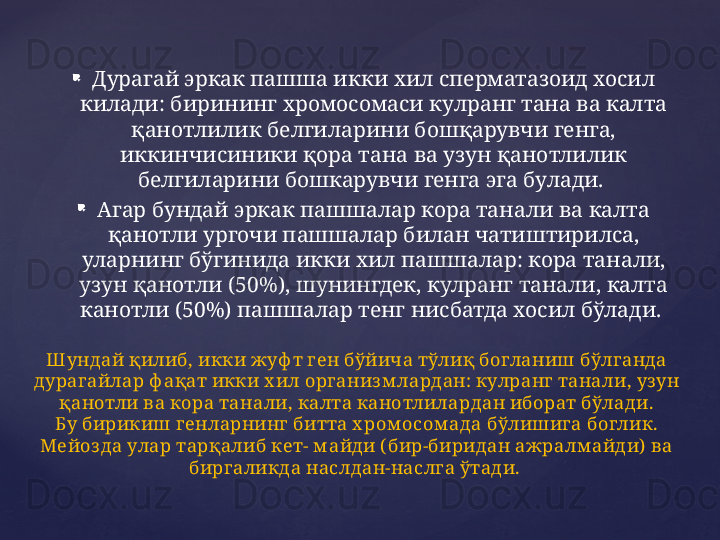 
Дурагай эркак пашша икки хил сперматазоид хосил 
килади: бирининг хромосомаси кулранг тана ва калта 
қанотлилик белгиларини бошқарувчи генга, 
иккинчисиники қора тана ва узун қанотлилик 
белгиларини бошкарувчи генга эга булади. 

Агар бундай эркак пашшалар кора танали ва калта 
қанотли ургочи пашшалар билан чатиштирилса, 
уларнинг бўгинида икки хил пашшалар: кора танали, 
узун қанотли (50%), шунингдек, кулранг танали, калта 
канотли (50%) пашшалар тенг нисбатда хосил бўлади. 
Ш ундай қилиб, икки жуф т ген бўйича тўлиқ богланиш бўлг анда 
дураг айлар ф ақат икки х ил организм лардан: кулранг танали, уз ун 
қанотли ва кора танали, калта канотлилардан иборат бўлади.
Б у бирикиш генларнинг  битта х ром осом ада бўлишига боглик. 
Мейоз да улар тарқалиб кет- м айди ( бир-биридан ажралм айди)  ва 
бирг аликда наслдан-наслга ўтади.  