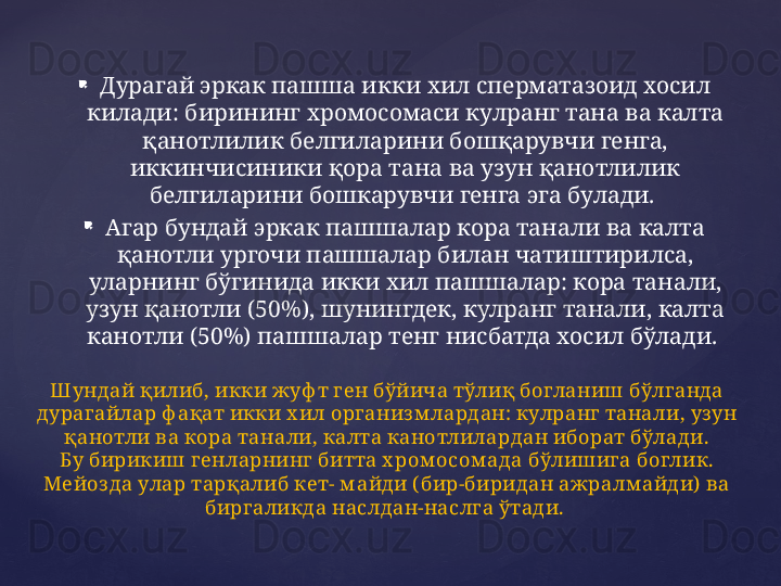 
Дурагай эркак пашша икки хил сперматазоид хосил 
килади: бирининг хромосомаси кулранг тана ва калта 
қанотлилик белгиларини бошқарувчи генга, 
иккинчисиники қора тана ва узун қанотлилик 
белгиларини бошкарувчи генга эга булади. 
Агар бундай эркак пашшалар кора танали ва калта 
қанотли ургочи пашшалар билан чатиштирилса, 
уларнинг бўгинида икки хил пашшалар: кора танали, 
узун қанотли (50%), шунингдек, кулранг танали, калта 
канотли (50%) пашшалар тенг нисбатда хосил бўлади. 
Ш ундай қилиб, икки жуф т ген бўйича тўлиқ богланиш бўлг анда 
дураг айлар ф ақат икки х ил организм лардан: кулранг танали, уз ун 
қанотли ва кора танали, калта канотлилардан иборат бўлади.
Б у бирикиш генларнинг  битта х ром осом ада бўлишига боглик. 
Мейоз да улар тарқалиб кет- м айди ( бир-биридан ажралм айди)  ва 
бирг аликда наслдан-наслга ўтади.