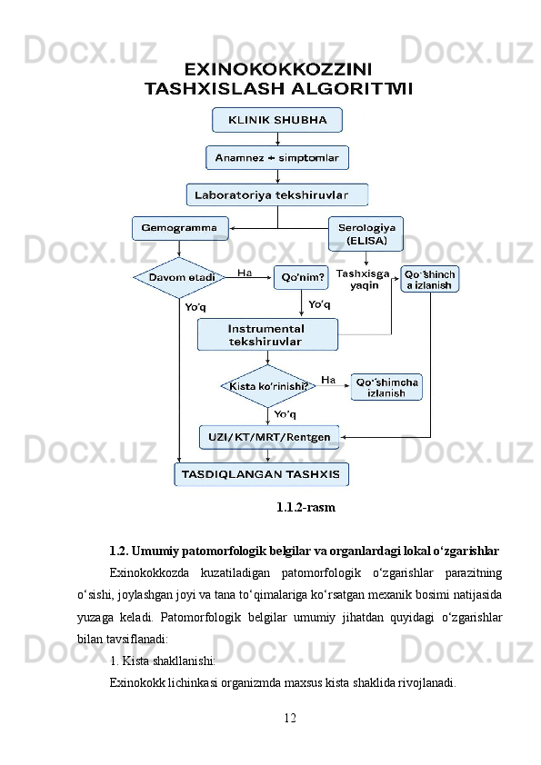 1.1.2-rasm
1.2. Umumiy patomorfologik belgilar va organlardagi lokal o‘zgarishlar
Exinokokkozda   kuzatiladigan   patomorfologik   o‘zgarishlar   parazitning
o‘sishi, joylashgan joyi va tana to‘qimalariga ko‘rsatgan mexanik bosimi natijasida
yuzaga   keladi.   Patomorfologik   belgilar   umumiy   jihatdan   quyidagi   o‘zgarishlar
bilan tavsiflanadi:
1. Kista shakllanishi:
Exinokokk lichinkasi organizmda maxsus kista shaklida rivojlanadi.
12 