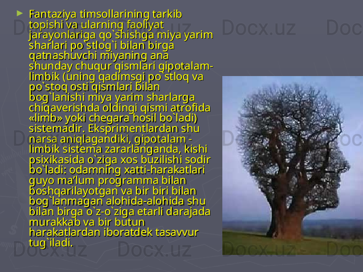 ►
Fantaziya timsollarining tarkib Fantaziya timsollarining tarkib 
topishi va ularning faoliyat topishi va ularning faoliyat 
jarayonlariga qo`shishga miya yarim jarayonlariga qo`shishga miya yarim 
sharlari po`stlog`i bilan birga sharlari po`stlog`i bilan birga 
qatnashuvchi miyaning ana qatnashuvchi miyaning ana 
shunday chuqur qismlari gipotalam-shunday chuqur qismlari gipotalam-
limbik (uning qadimsgi po`stloq va limbik (uning qadimsgi po`stloq va 
po`stoq osti qismlari bilan po`stoq osti qismlari bilan 
bog`lanishi miya yarim sharlarga bog`lanishi miya yarim sharlarga 
chiqaverishda oldingi qismi atrofida chiqaverishda oldingi qismi atrofida 
«limb» yoki chegara hosil bo`ladi) «limb» yoki chegara hosil bo`ladi) 
sistemadir. Eksprimentlardan shu sistemadir. Eksprimentlardan shu 
narsa aniqlagandiki, gipotalam - narsa aniqlagandiki, gipotalam - 
limbik sistema zararlanganda, kishi limbik sistema zararlanganda, kishi 
psixikasida o`ziga xos buzilishi sodir psixikasida o`ziga xos buzilishi sodir 
bo`ladi: odamning xatti-harakatlari bo`ladi: odamning xatti-harakatlari 
guyo ma’lum programma bilan guyo ma’lum programma bilan 
boshqarilayotgan va bir biri bilan boshqarilayotgan va bir biri bilan 
bog`lanmagan alohida-alohida shu bog`lanmagan alohida-alohida shu 
bilan birga o`z-o`ziga etarli darajada bilan birga o`z-o`ziga etarli darajada 
murakkab va bir butun murakkab va bir butun 
harakatlardan iboratdek tasavvur harakatlardan iboratdek tasavvur 
tug`iladi. tug`iladi.  