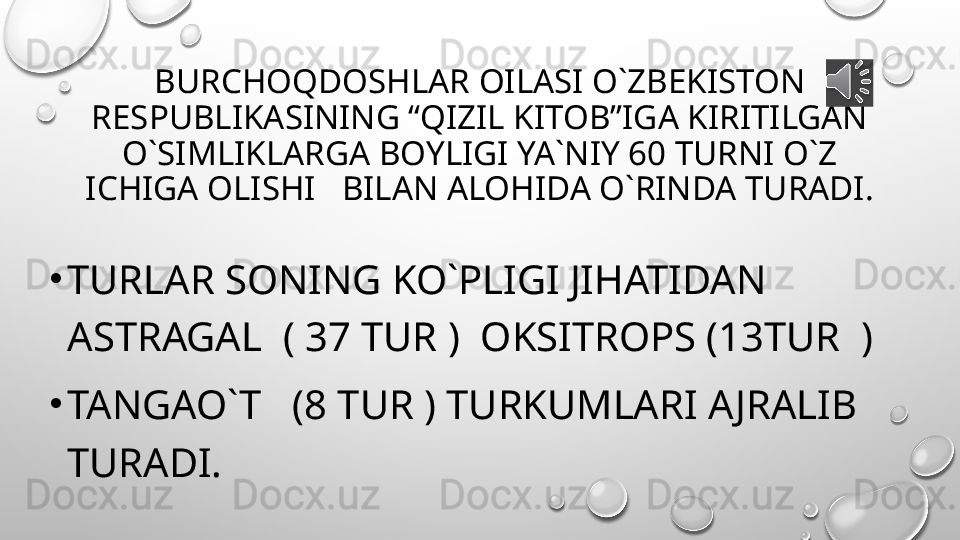 BURCHOQDOSHLAR OILASI O`ZBEKISTON 
RESPUBLIKASINING “QIZIL KITOB”IGA KIRITILGAN 
O`SIMLIKLARGA BOYLIGI YA`NIY 60 TURNI O`Z 
ICHIGA OLISHI   BILAN ALOHIDA O`RINDA TURADI.
•
TURLAR SONING KO`PLIGI JIHATIDAN  
ASTRAGAL  ( 37 TUR )  OKSITROPS (13TUR  )
•
TANGAO`T   (8 TUR ) TURKUMLARI AJRALIB 
TURADI. 