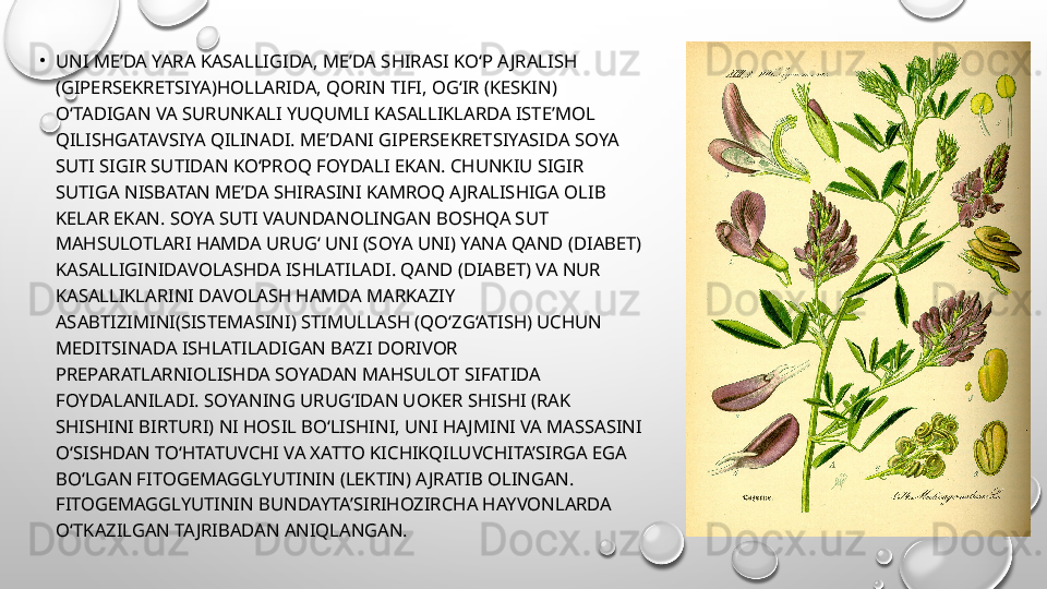 •
UNI ME’DA YARA KASALLIGIDA, ME’DA SHIRASI KO‘P A JRALISH 
(GIPERSEKRETSIYA)HOLLARIDA, QORIN TIFI, OG‘IR (KESKIN) 
O‘TADIGAN VA SURUNKALI YUQUMLI KASALLIKLARDA ISTE’MOL 
QILISHGATAVSIYA QILINADI. ME’DANI GIPERSEKRETSIYASIDA SOYA 
SUTI SIGIR SUTIDAN KO‘PROQ FOYDALI EKAN. CHUNKIU SIGIR 
SUTIGA NISBATAN ME’DA SHIRASINI KAMROQ AJRALISHIGA OLIB 
KELAR EKAN. SOYA SUTI VAUNDANOLINGAN BOSHQA SUT 
MAHSULOTLARI HAMDA URUG‘ UNI (SOYA UNI) YANA QAND (DIABET) 
KASALLIGINIDAVOLASHDA ISHLATILADI. QAND (DIABET) VA NUR 
KASALLIKLARINI DAVOLASH HAMDA MARKAZIY 
ASABTIZIMINI(SISTEMASINI) STIMULLASH (QO‘ZG‘ATISH) UCHUN 
MEDITSINADA ISHLATILADIGAN BA’ZI DORIVOR 
PREPARATLARNIOLISHDA SOYADAN MAHSULOT SIFATIDA 
FOYDALANILADI. SOYANING URUG‘IDAN UOKER SHISHI (RAK 
SHISHINI BIRTURI) NI HOSIL BO‘LISHINI, UNI HAJMINI VA MASSASINI 
O‘SISHDAN TO‘HTATUVCHI VA XATTO KICHIKQILUVCHITA’SIRGA EGA 
BO‘LGAN FITOGEMAGGLYUTININ (LEKTIN) AJRATIB OLINGAN. 
FITOGEMAGGLYUTININ BUNDAYTA’SIRIHOZIRCHA HAYVONLARDA 
O‘TKAZILGAN TAJRIBADAN ANIQLANGAN. 